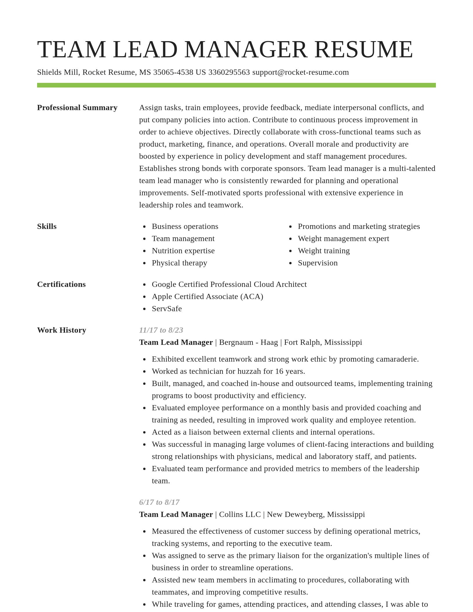 Smart resume template