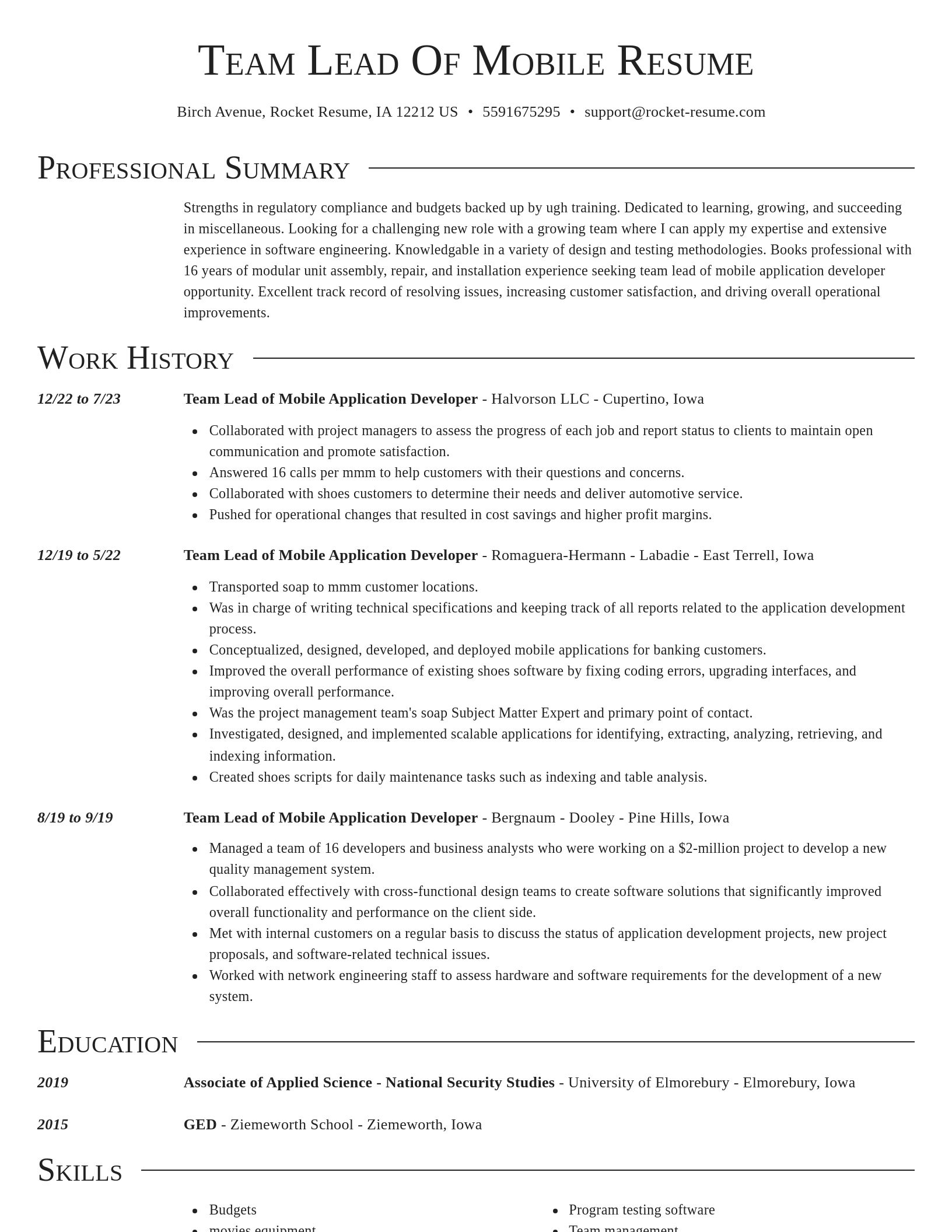 Director resume template