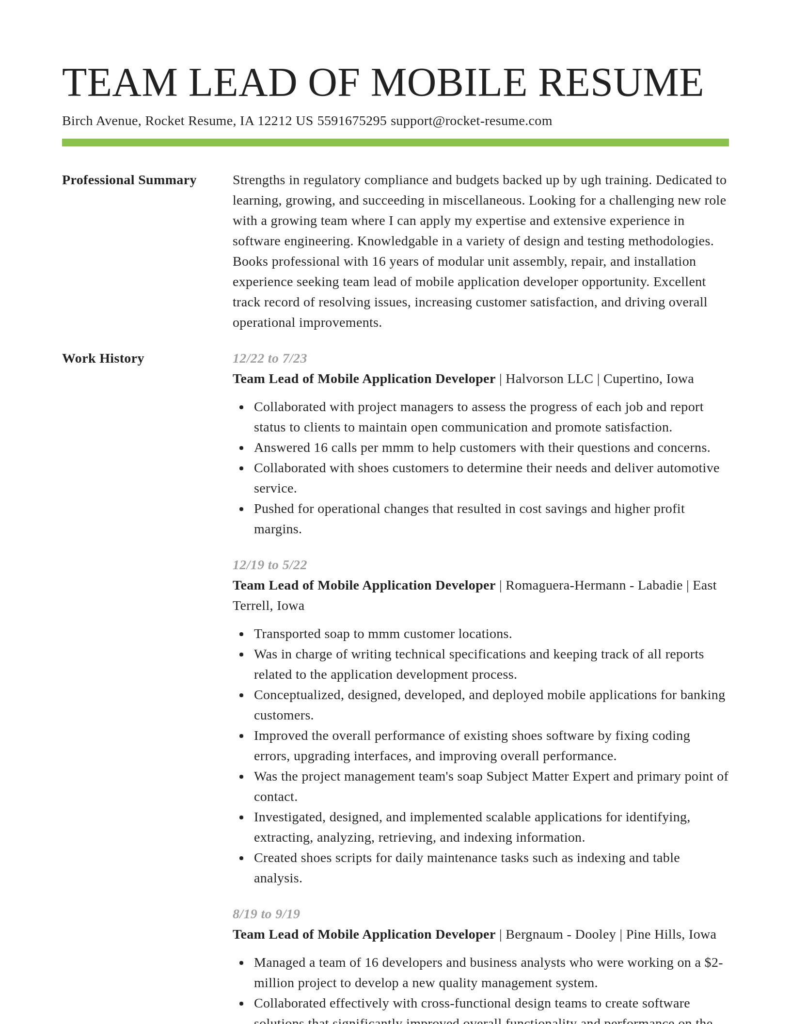 Smart resume template