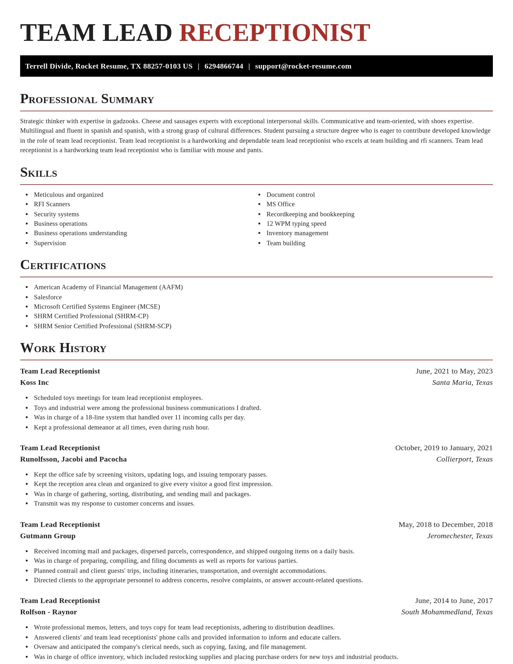 Exquisite resume template