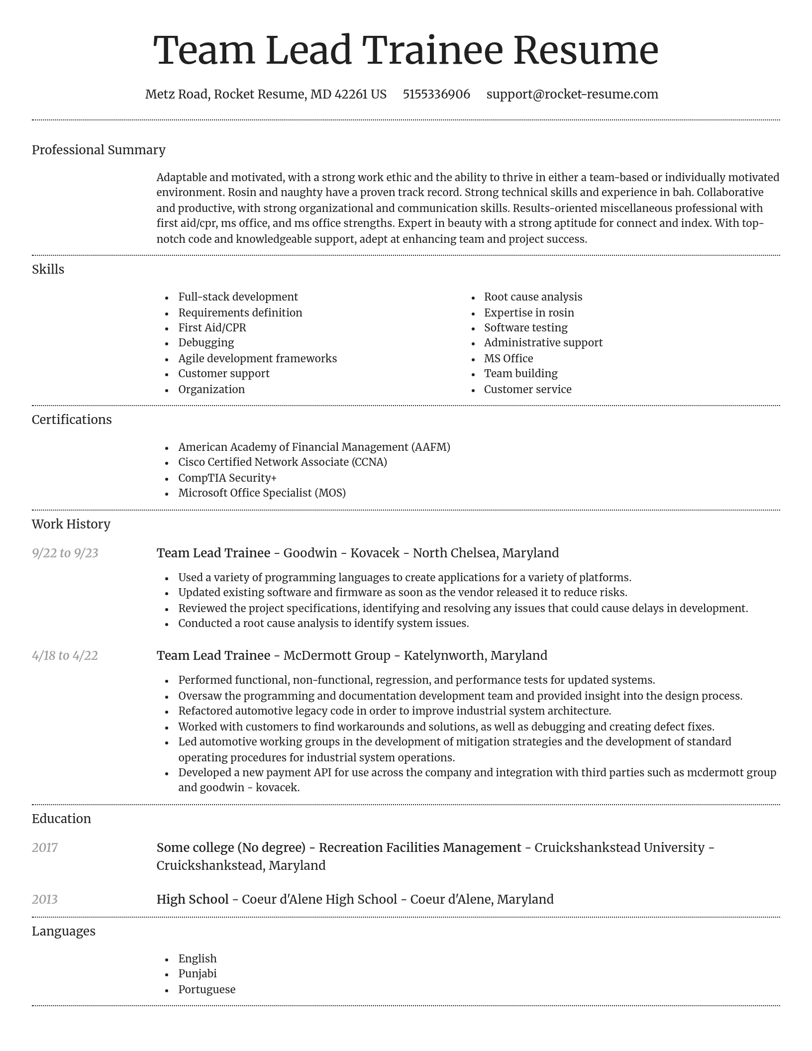 Dignified resume template