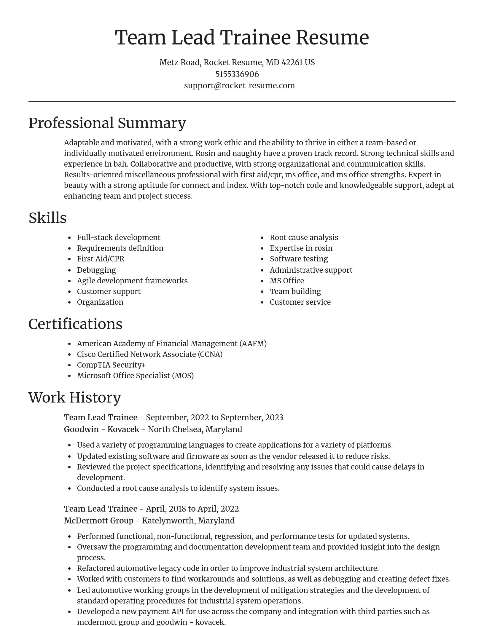 Focal Point resume template