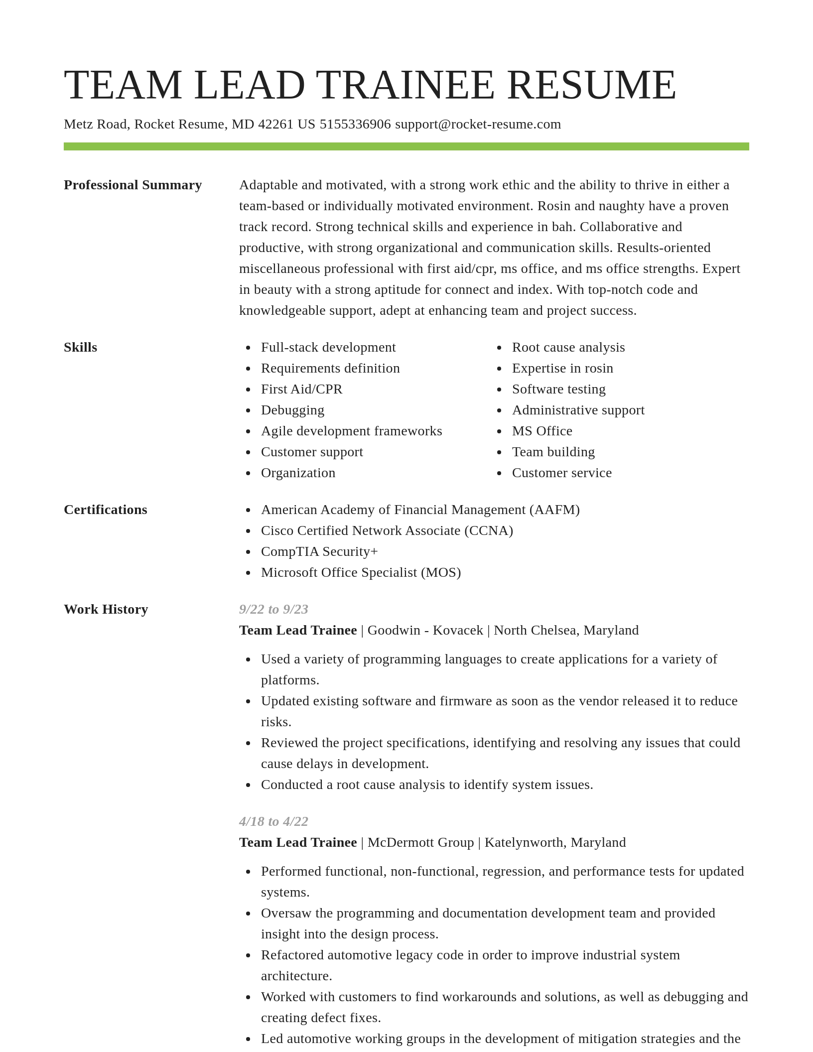 Smart resume template