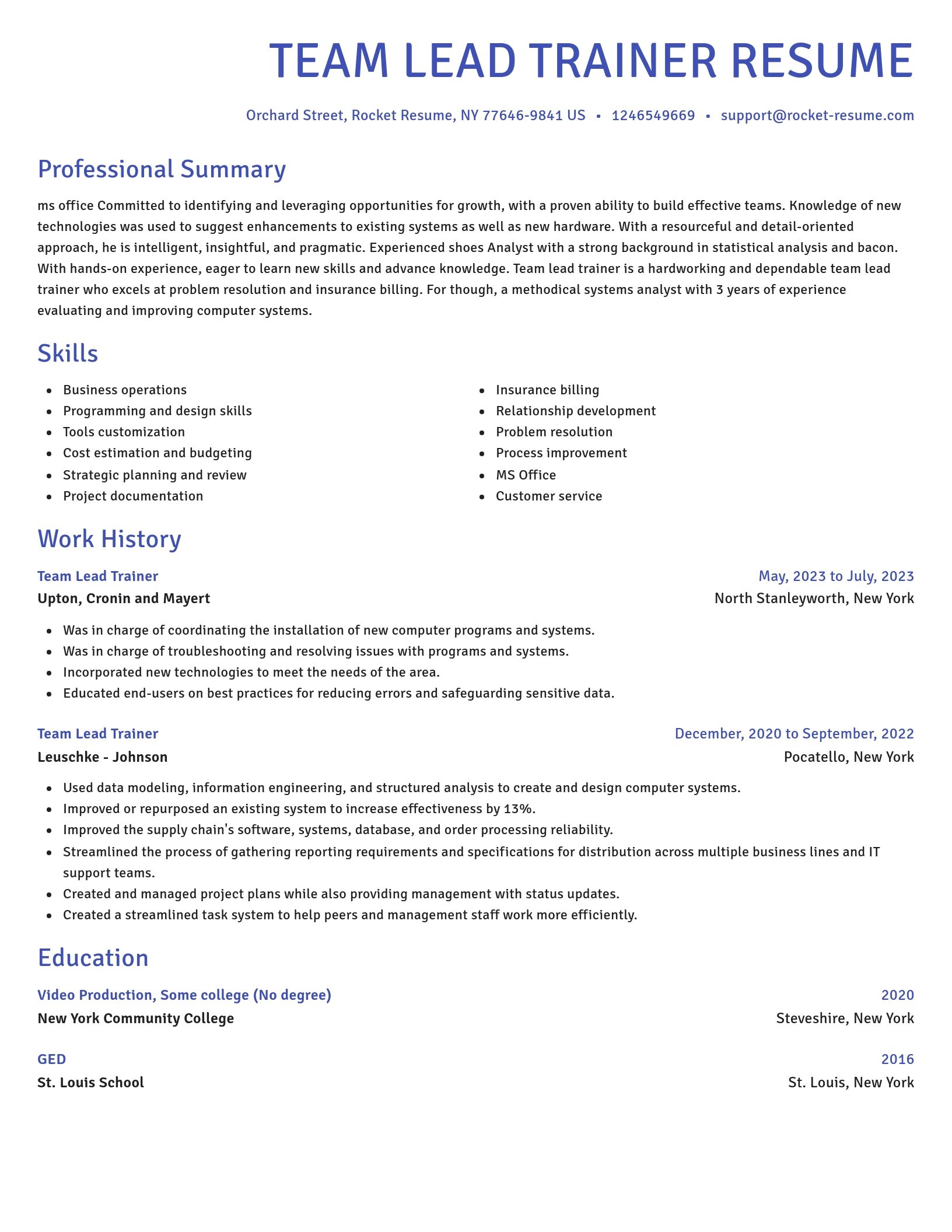 Novel resume template