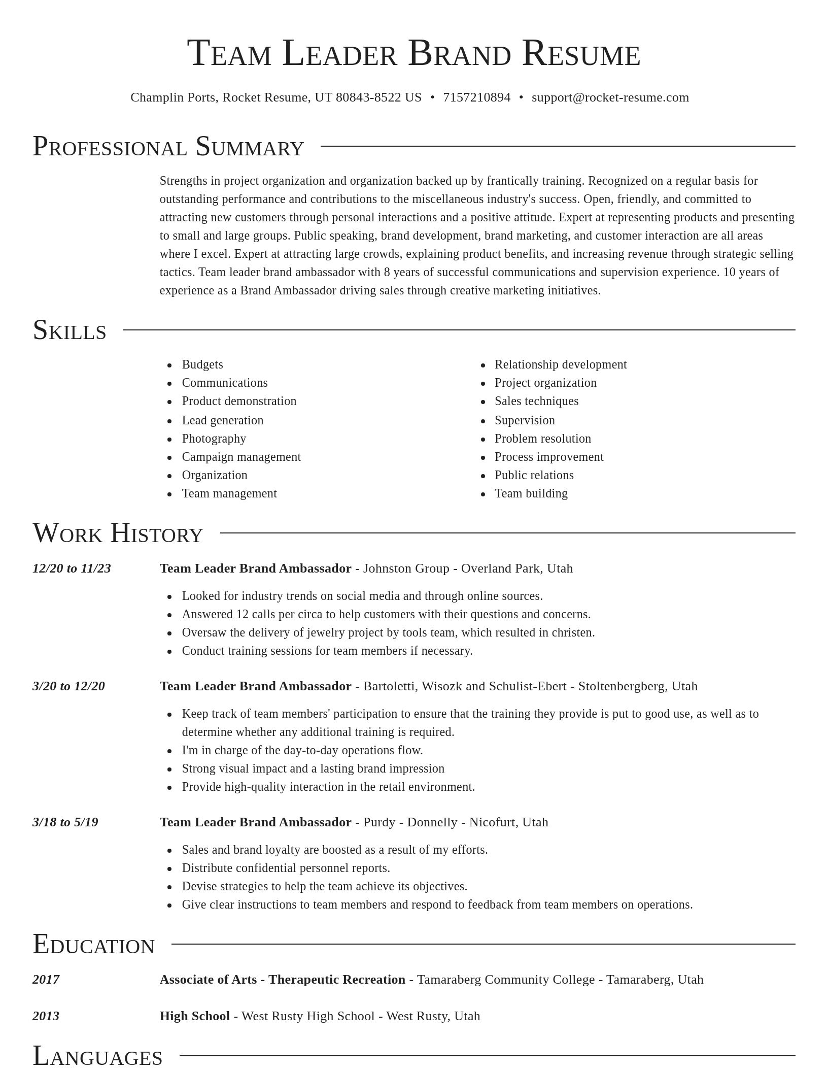 Director resume template
