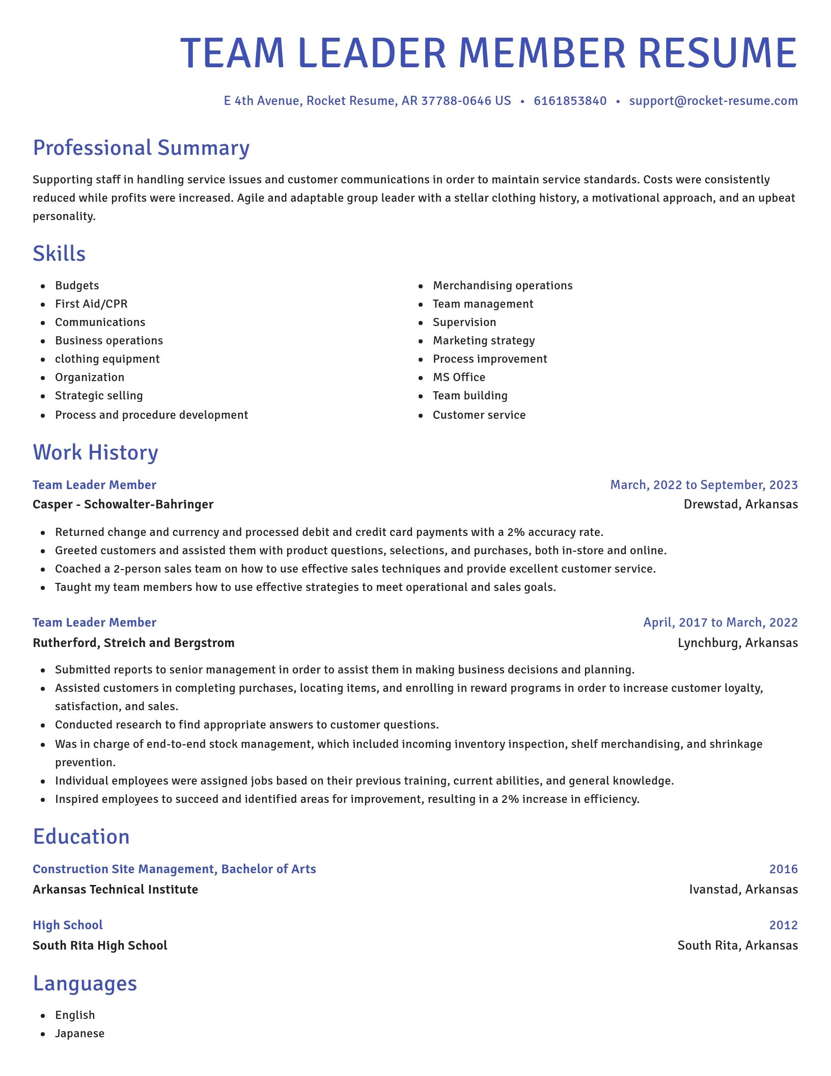 Novel resume template
