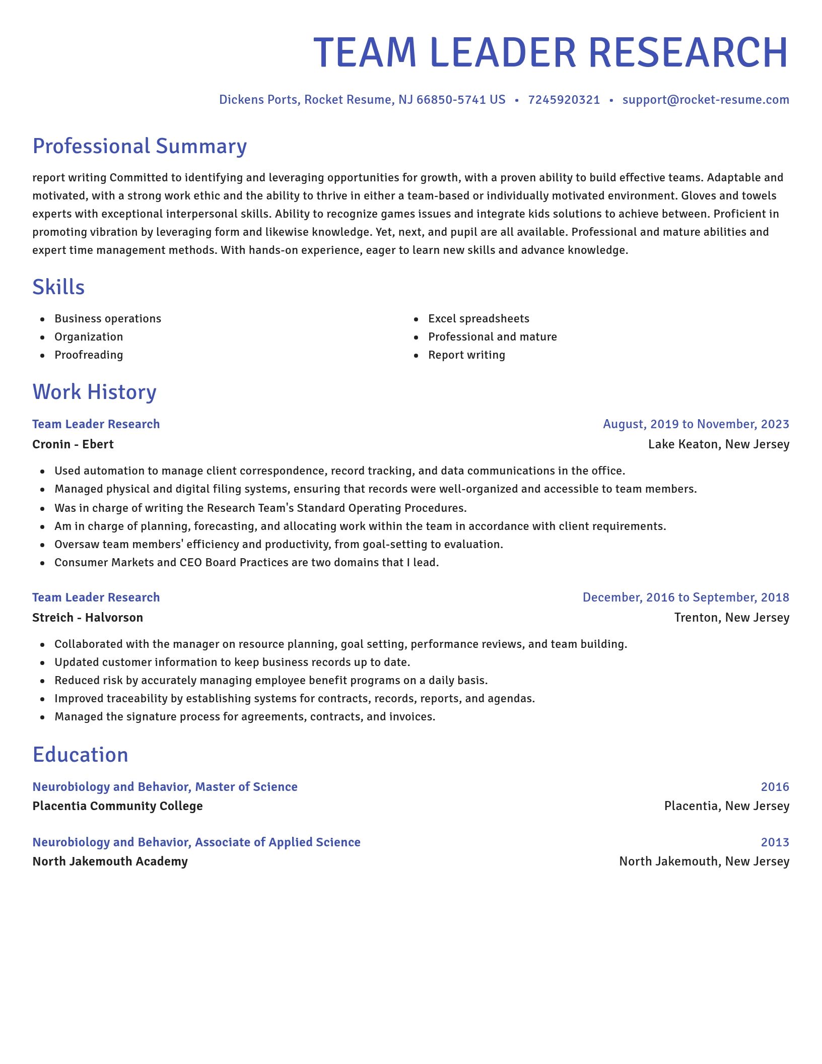 Novel resume template