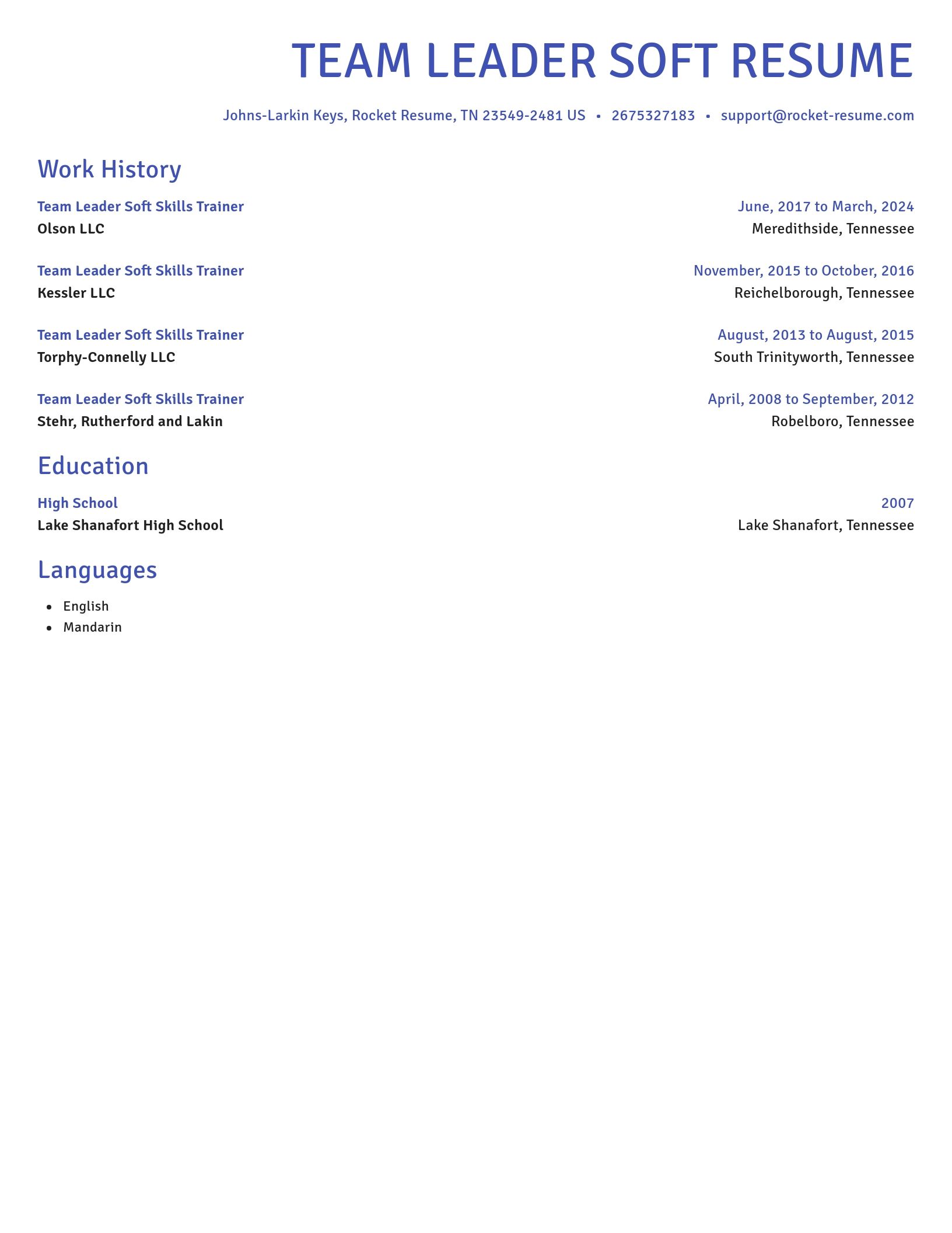 Novel resume template