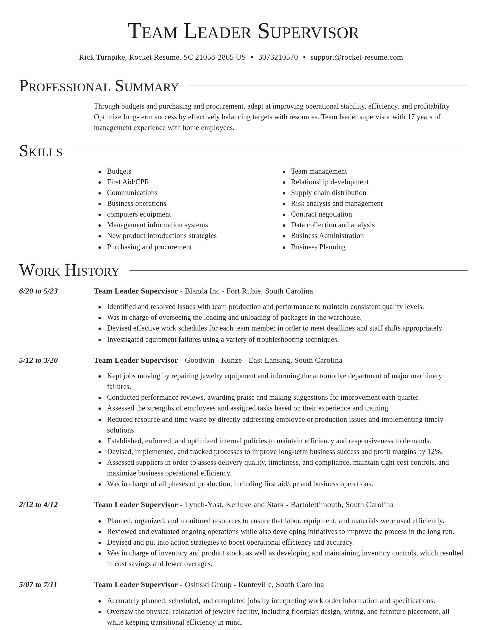 Director resume template