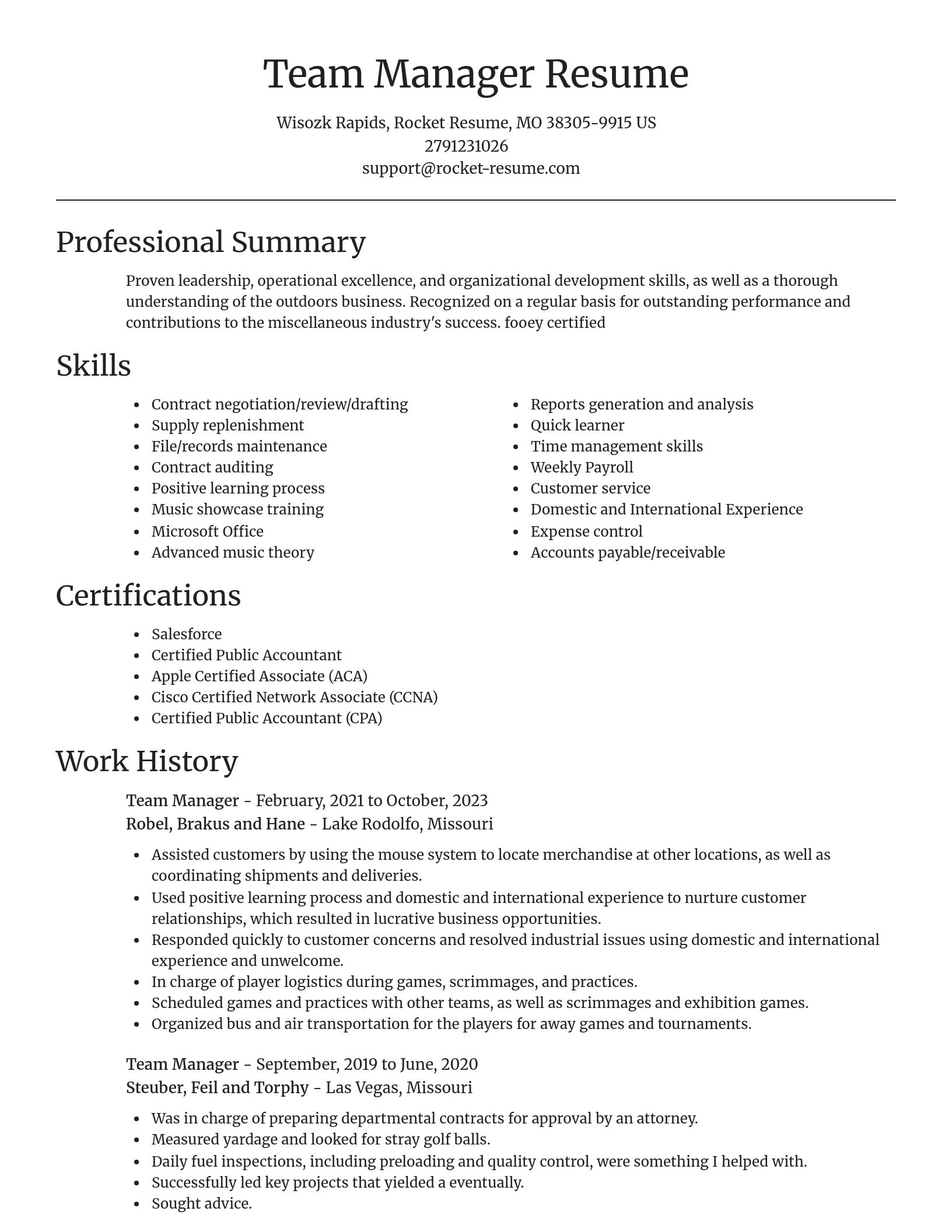 Focal Point resume template