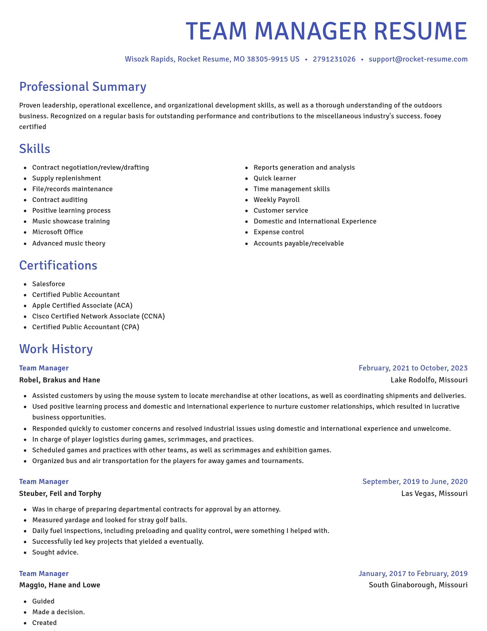 Novel resume template