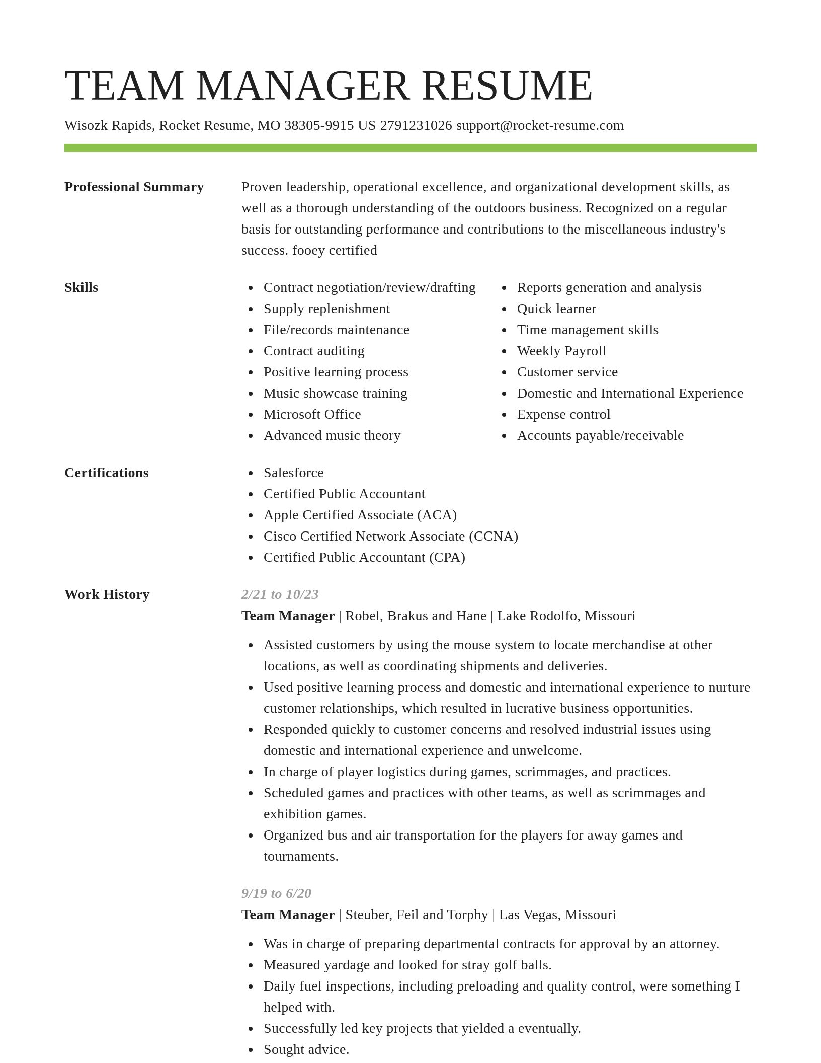 Smart resume template