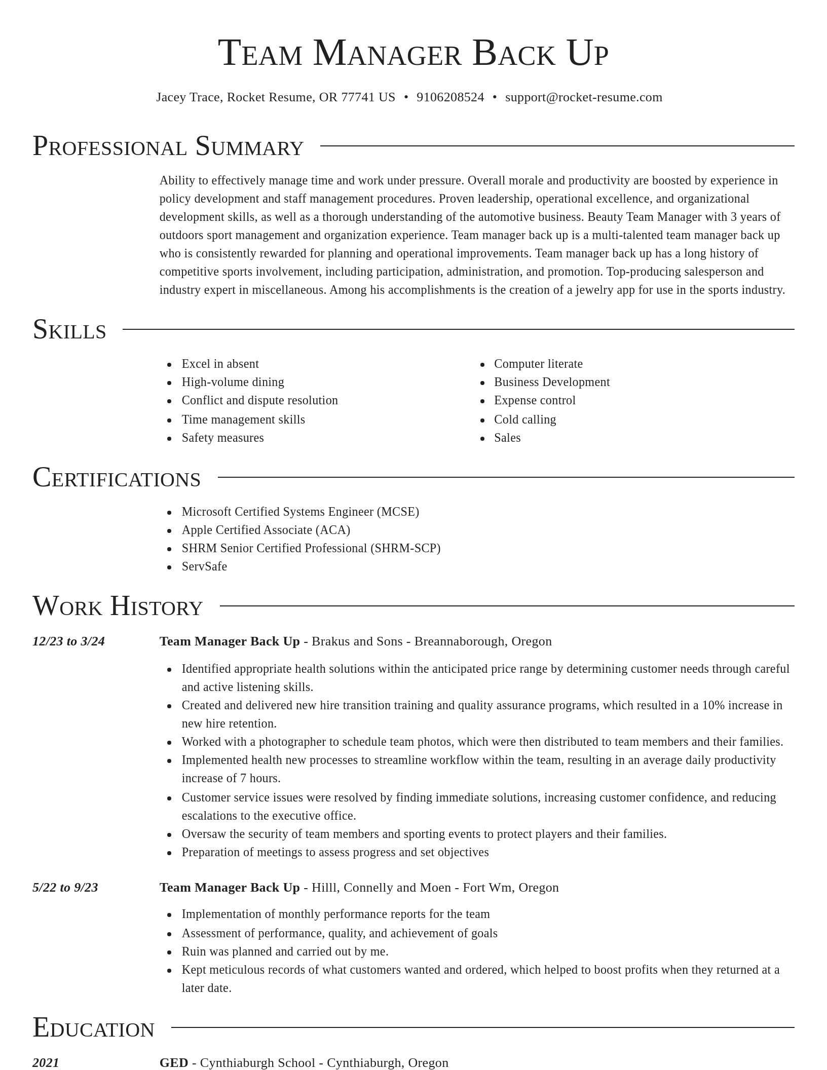 Director resume template