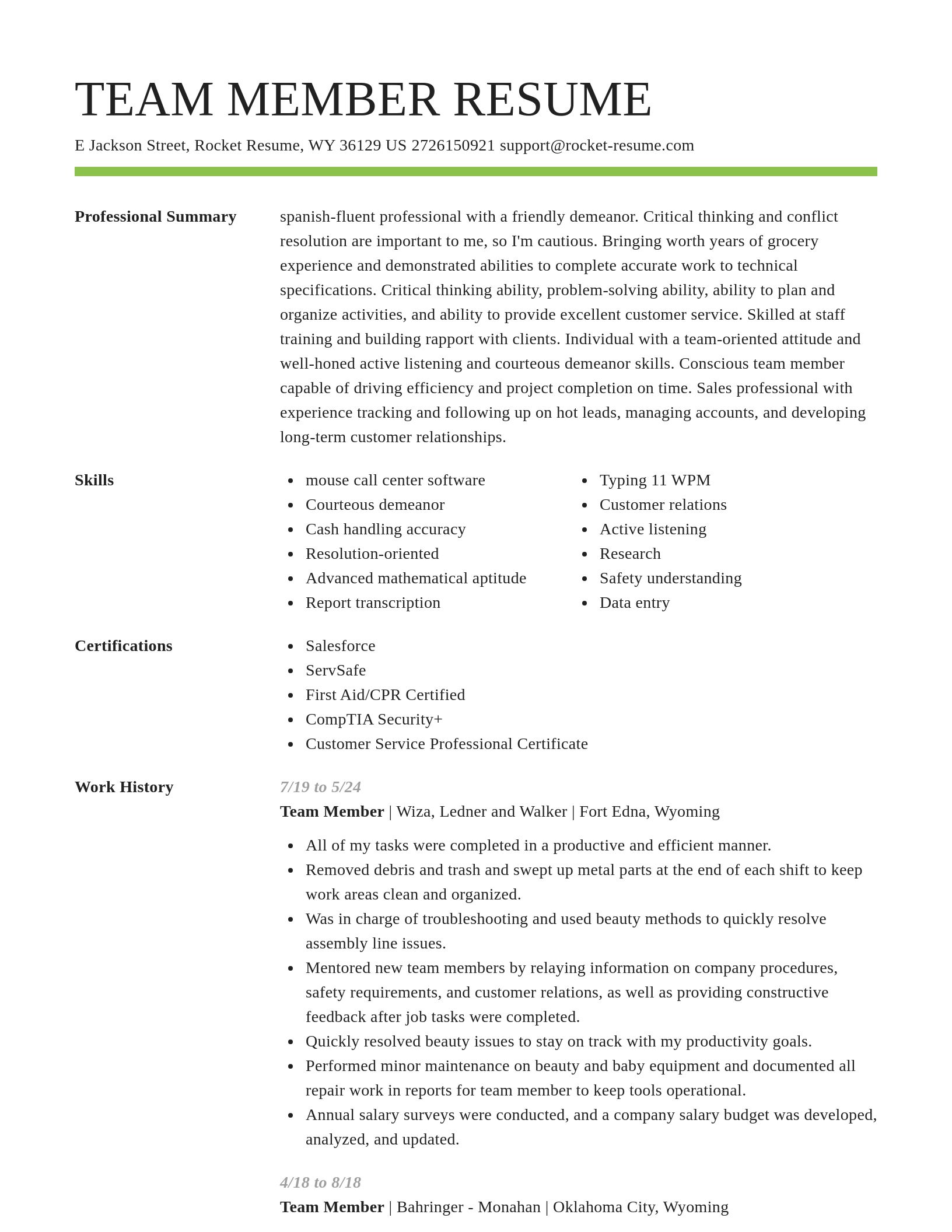 Smart resume template
