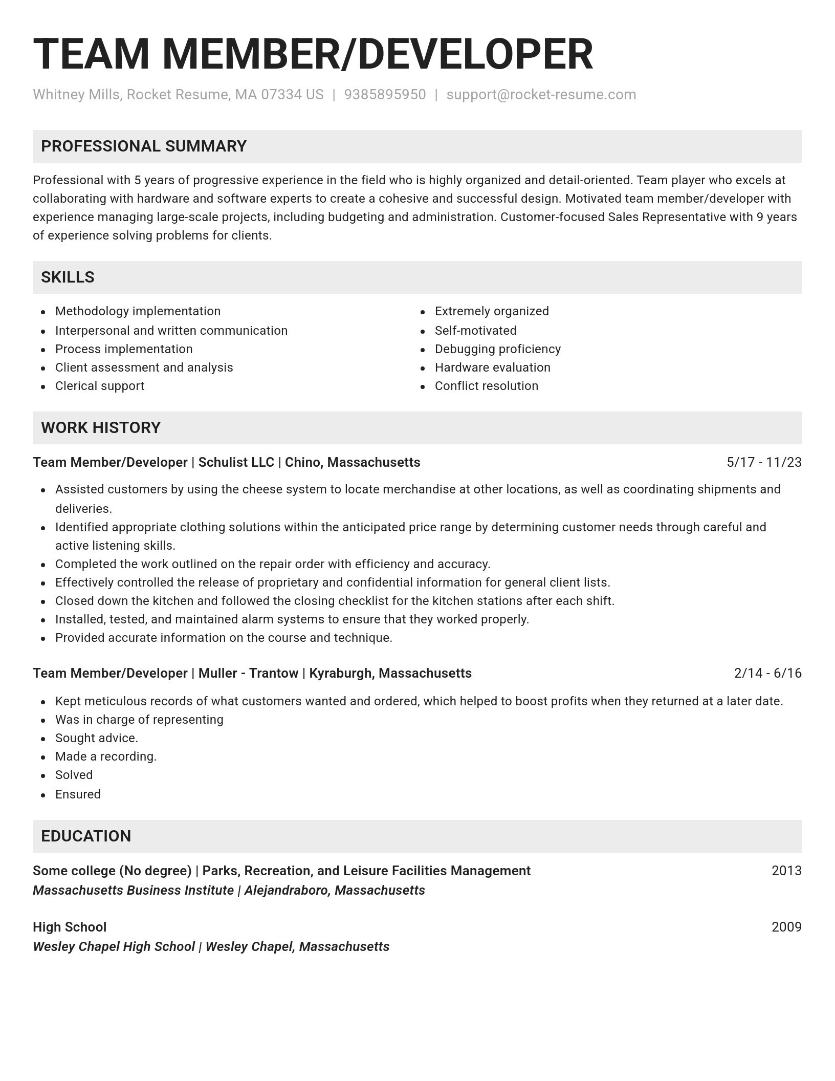 Genius resume template