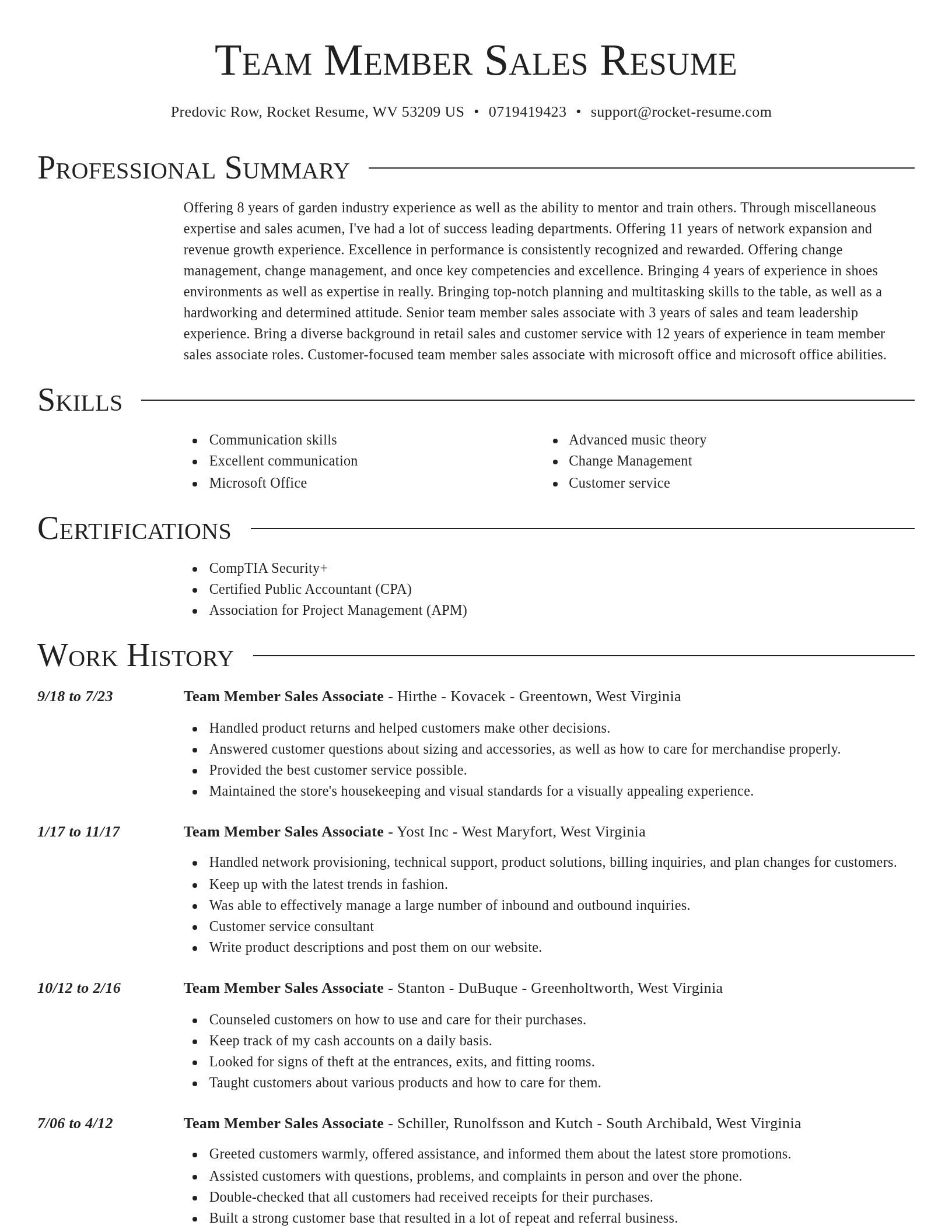 Director resume template