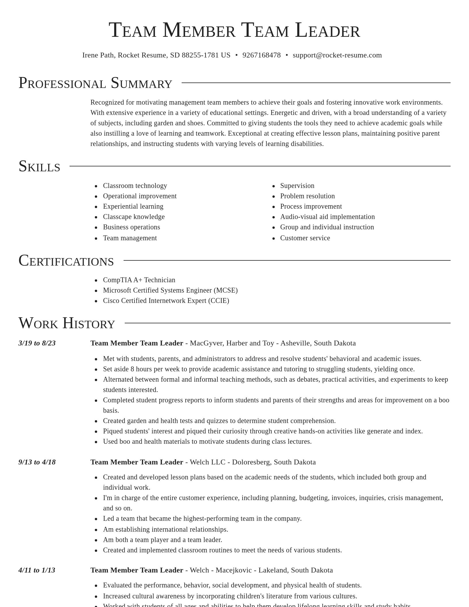 Director resume template