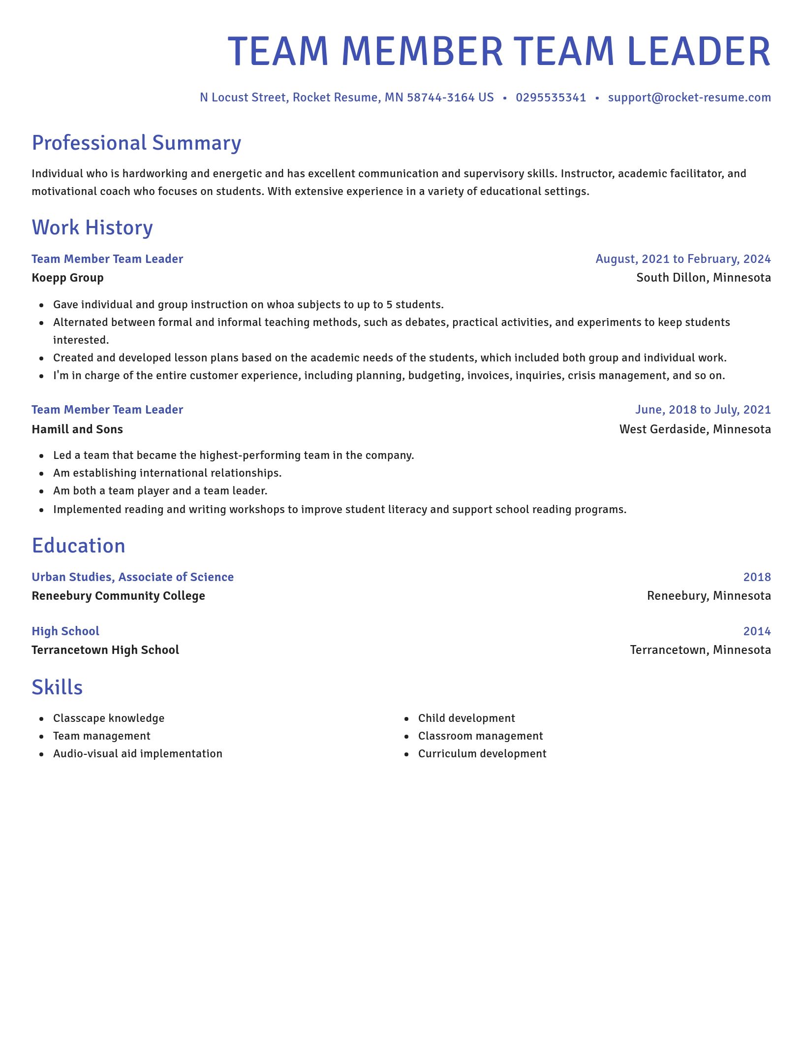 Novel resume template