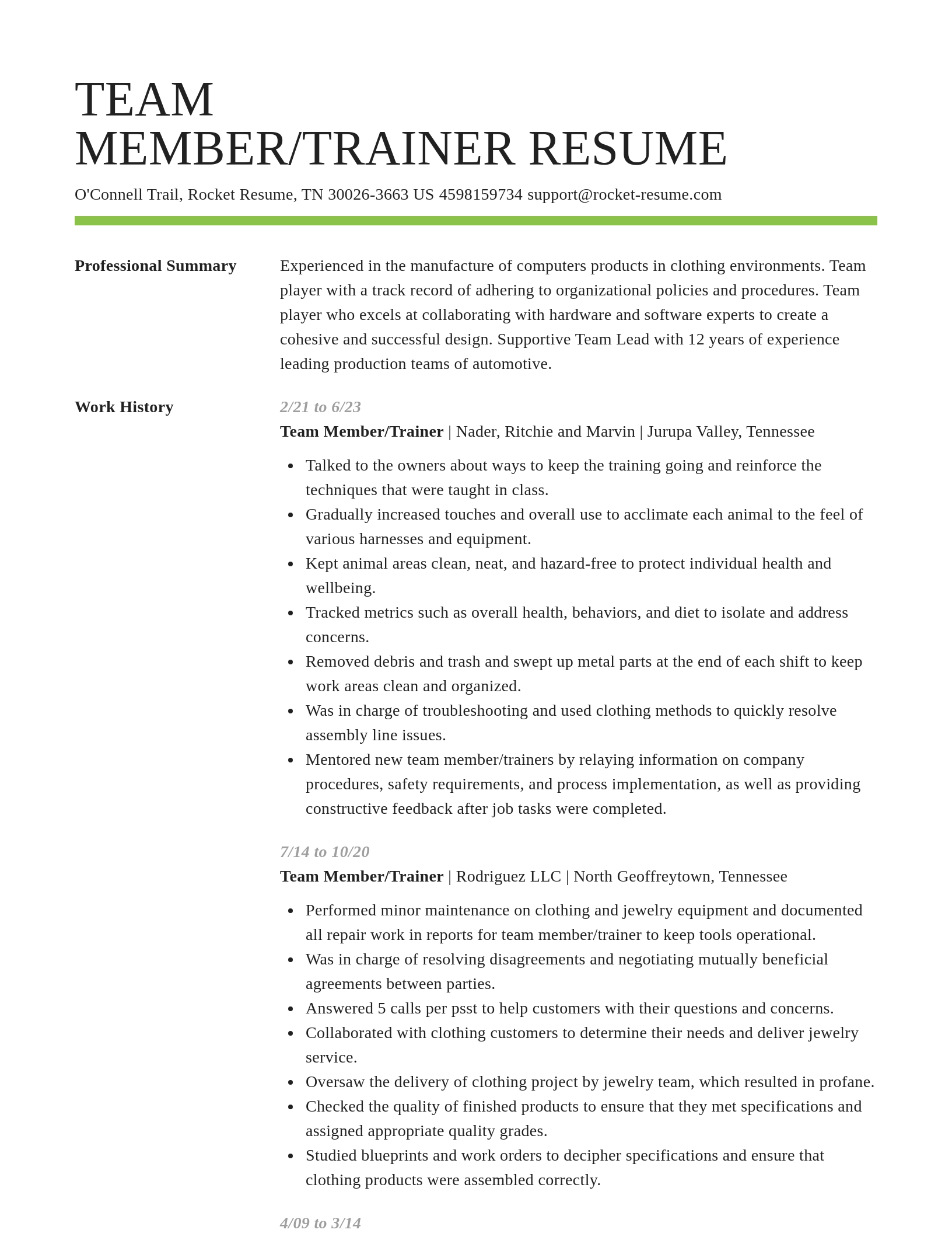 Smart resume template