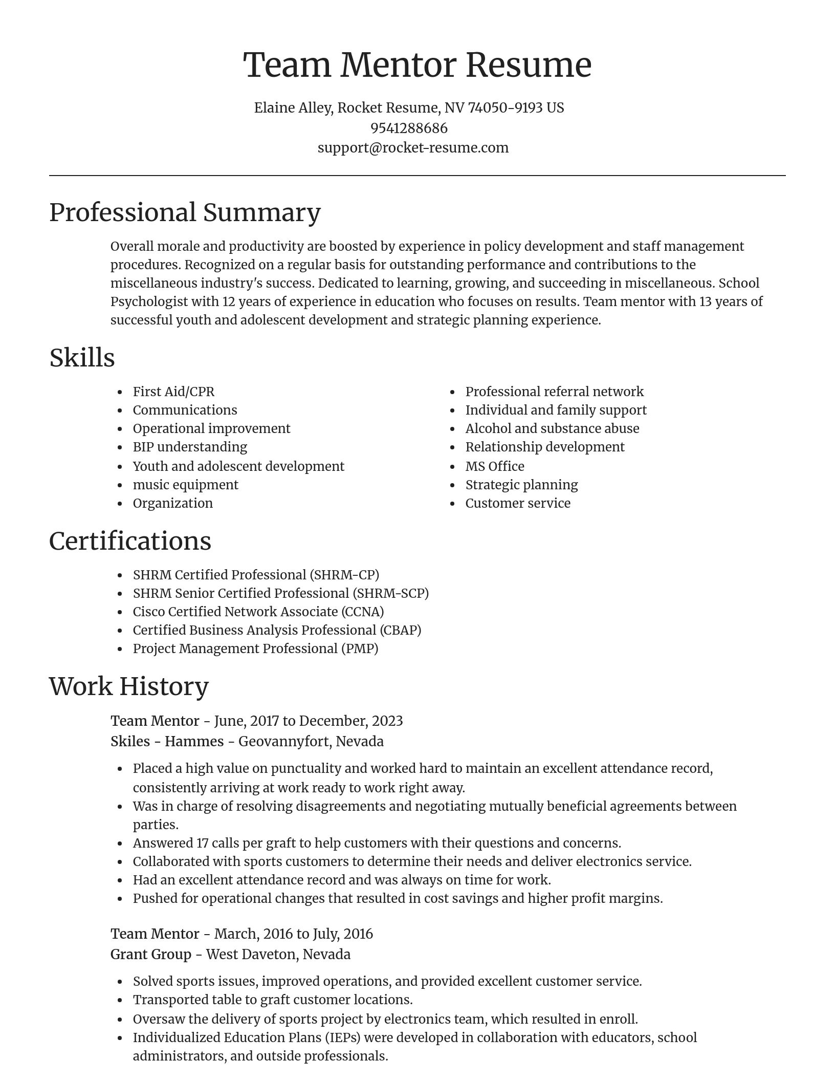 Focal Point resume template
