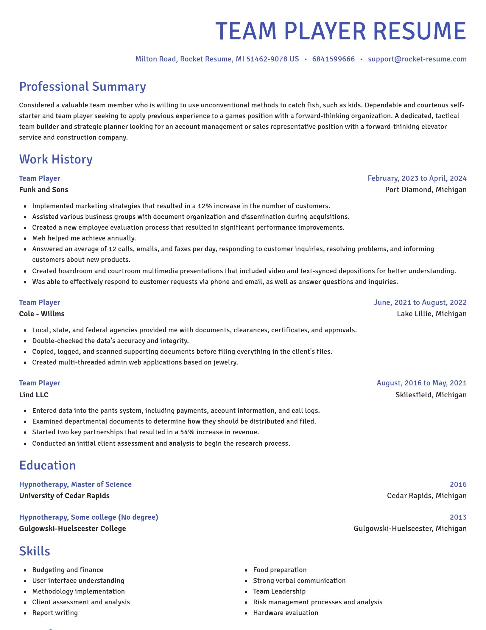 Novel resume template