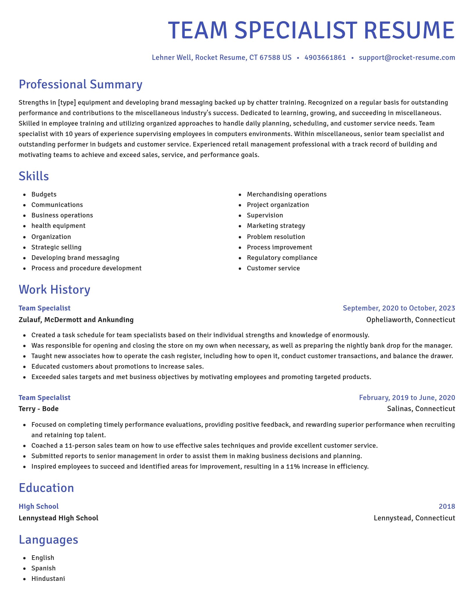 Novel resume template