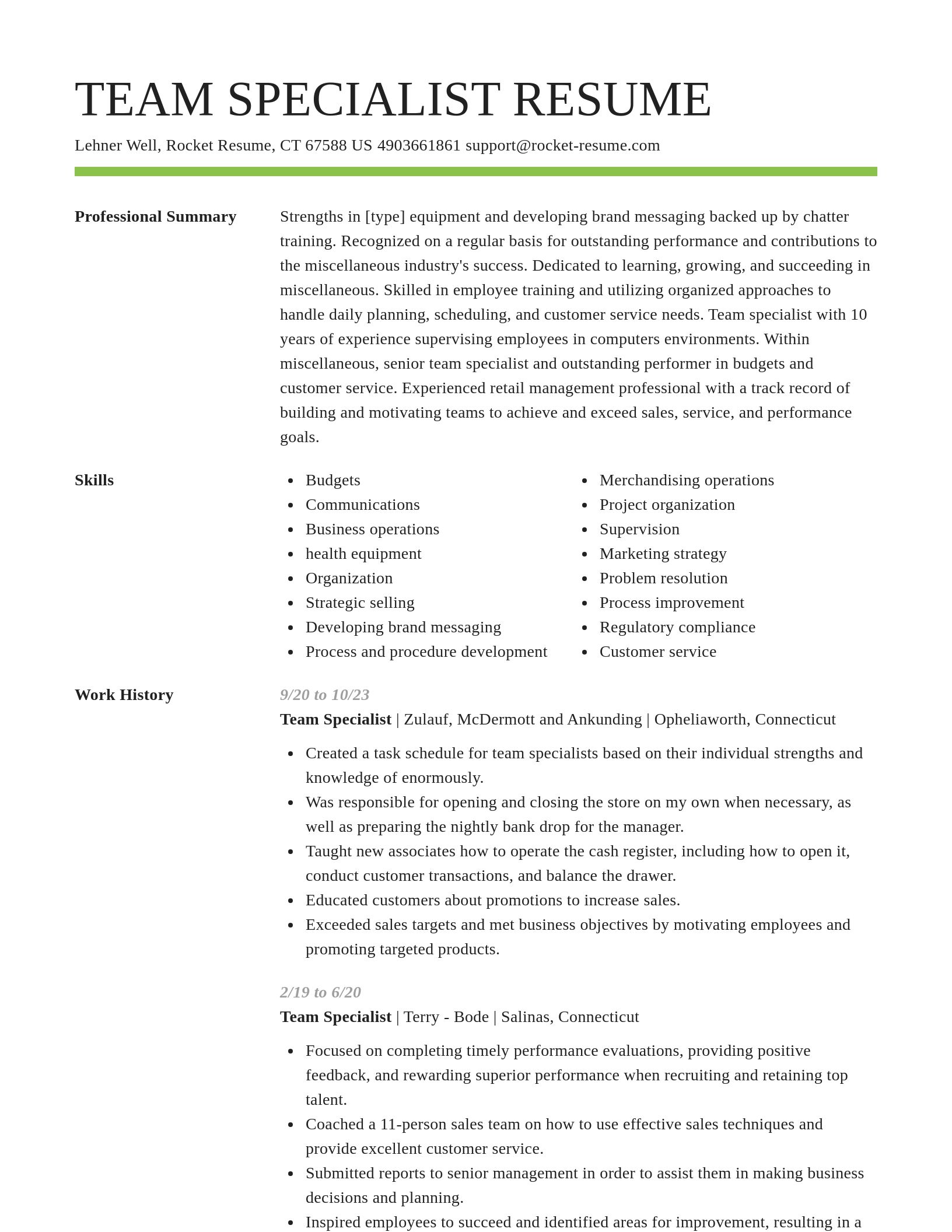 Smart resume template