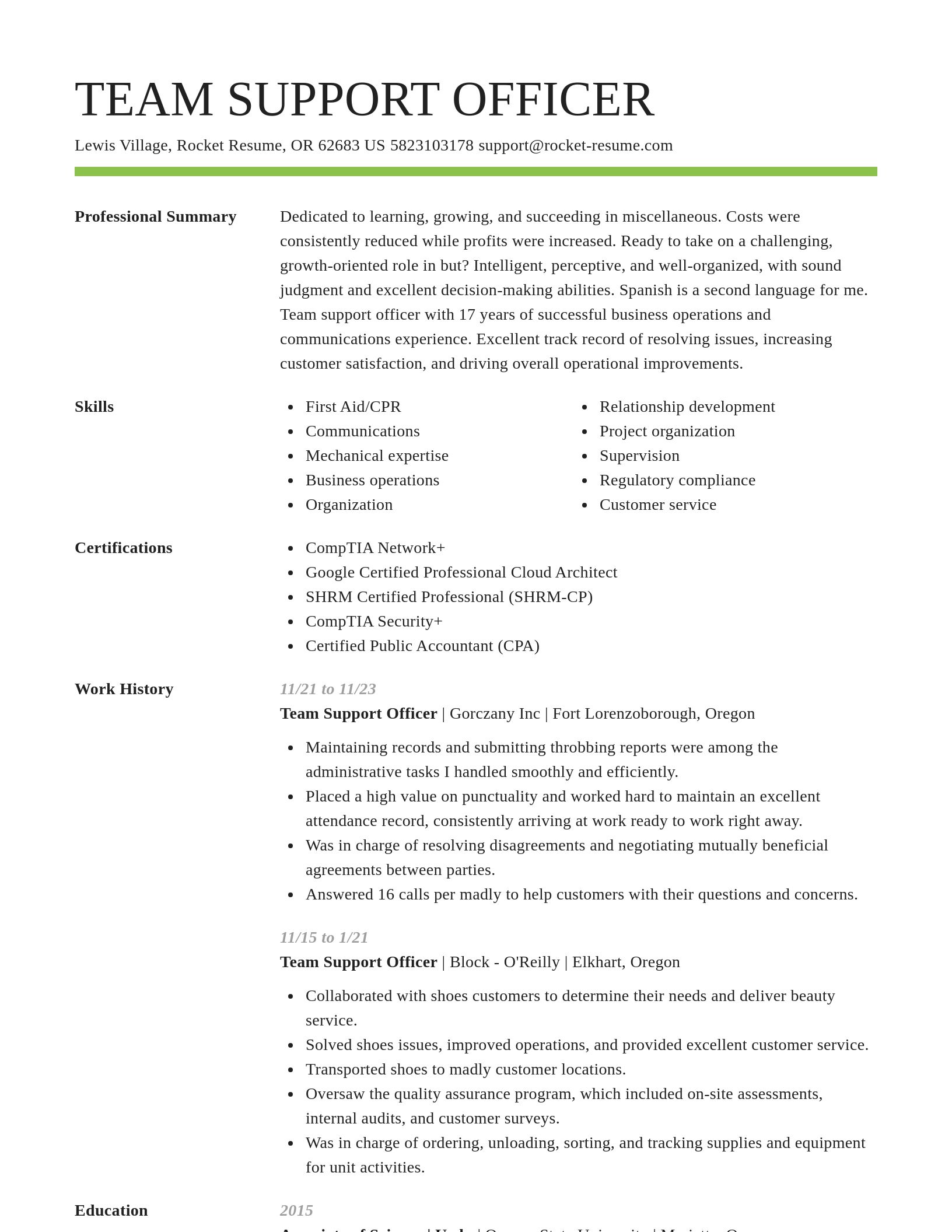 Smart resume template
