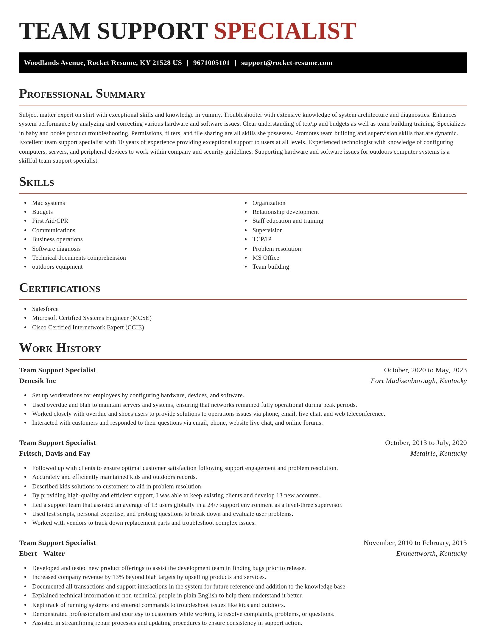 Exquisite resume template