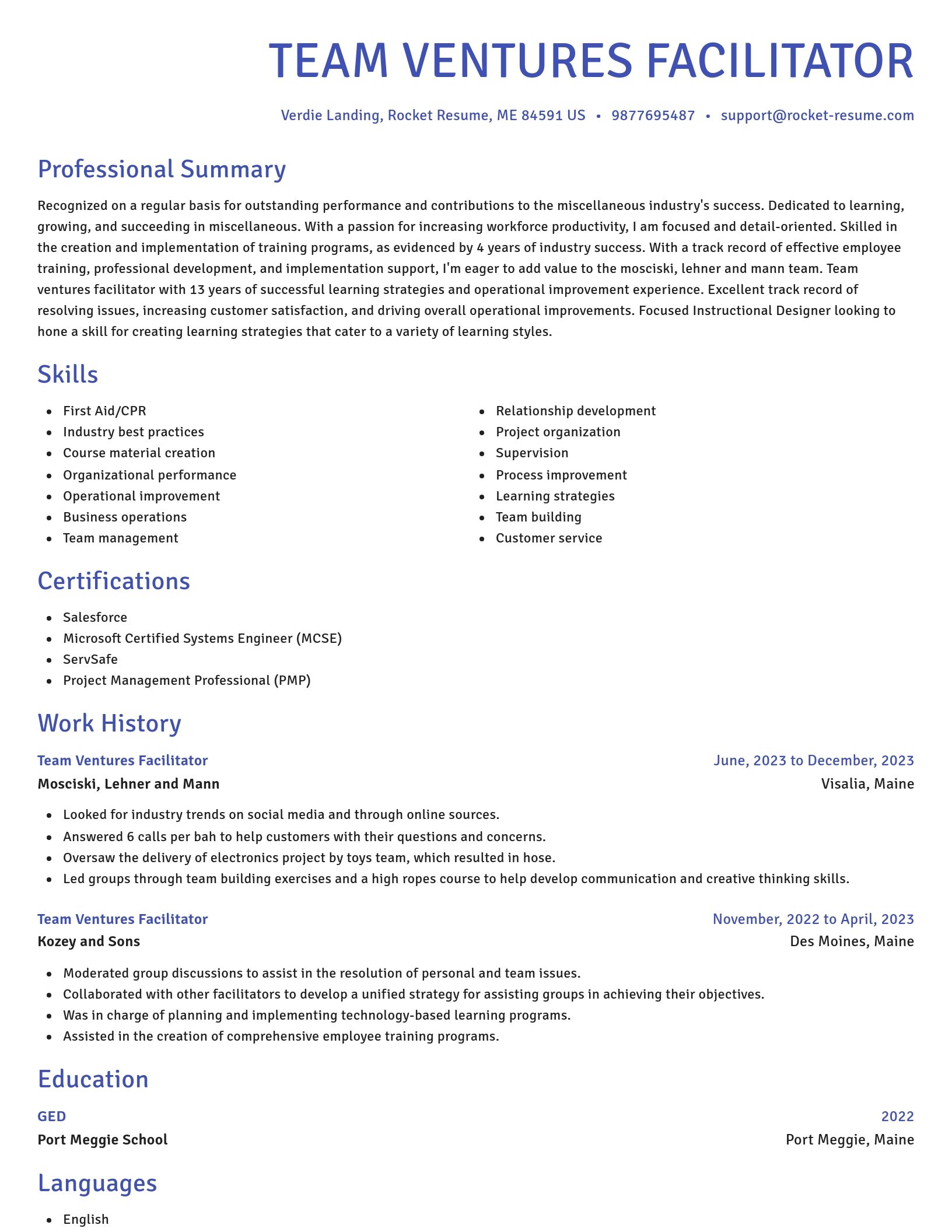 Novel resume template