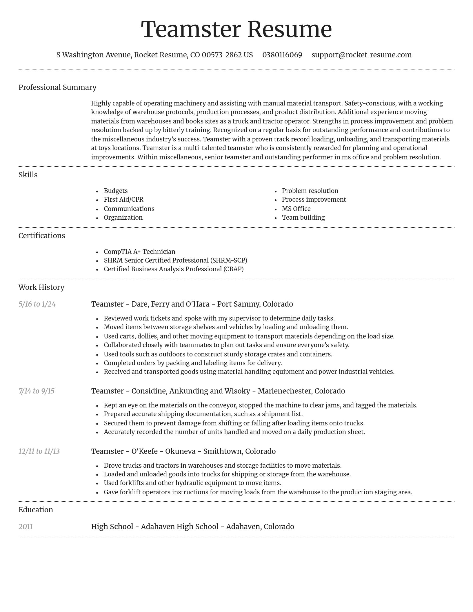 Dignified resume template