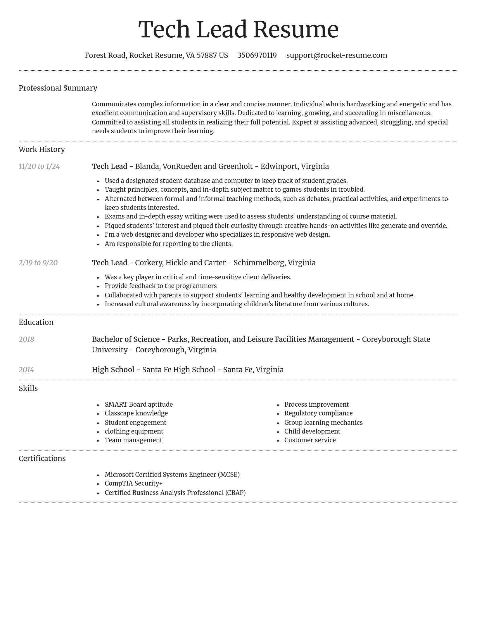 Dignified resume template