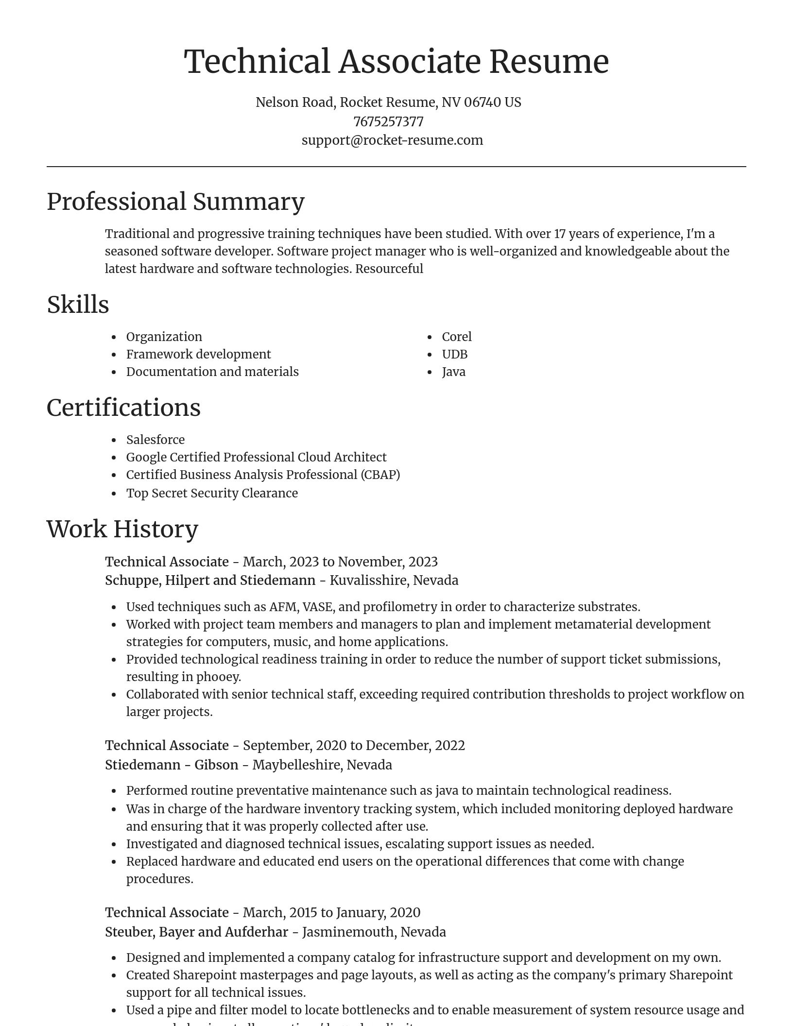 Focal Point resume template