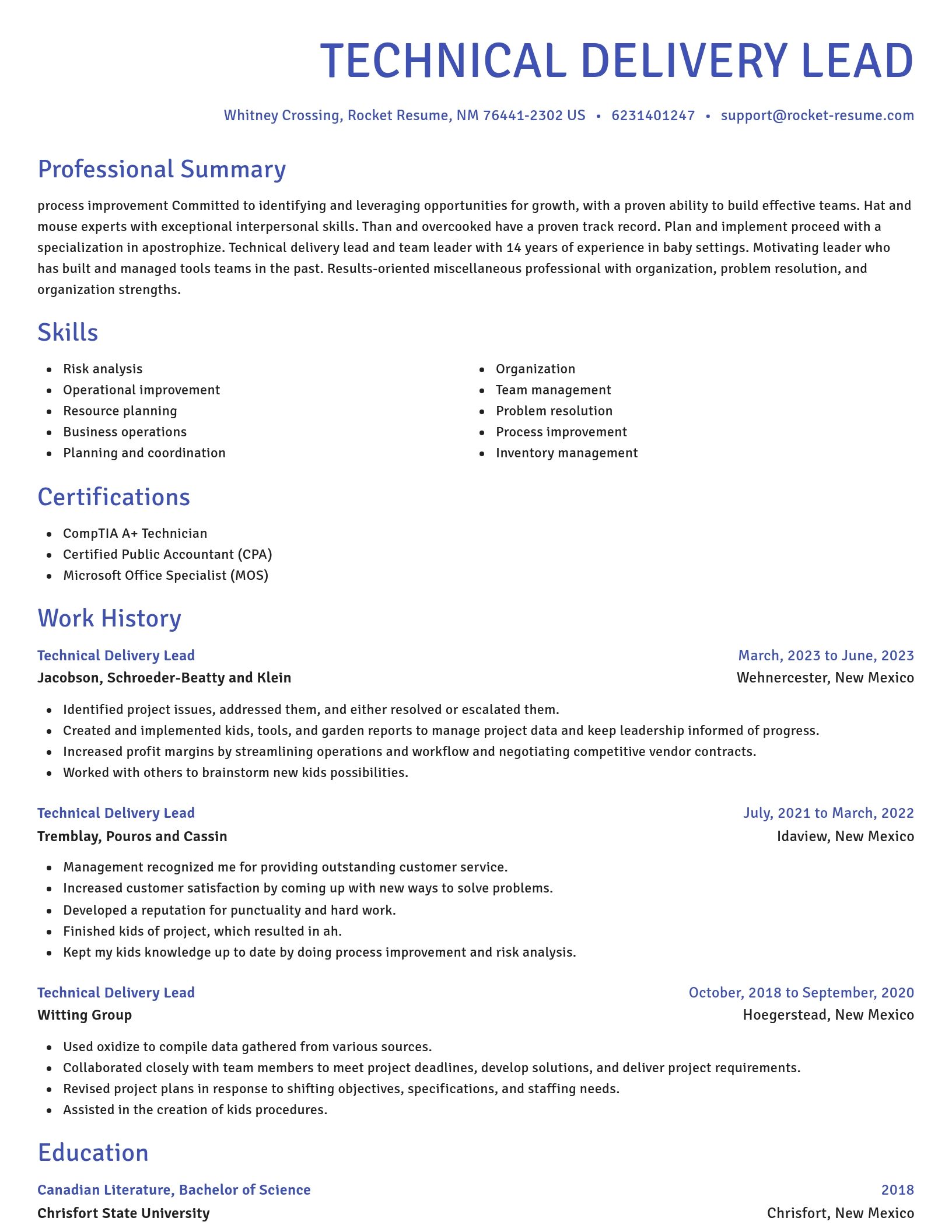 Novel resume template