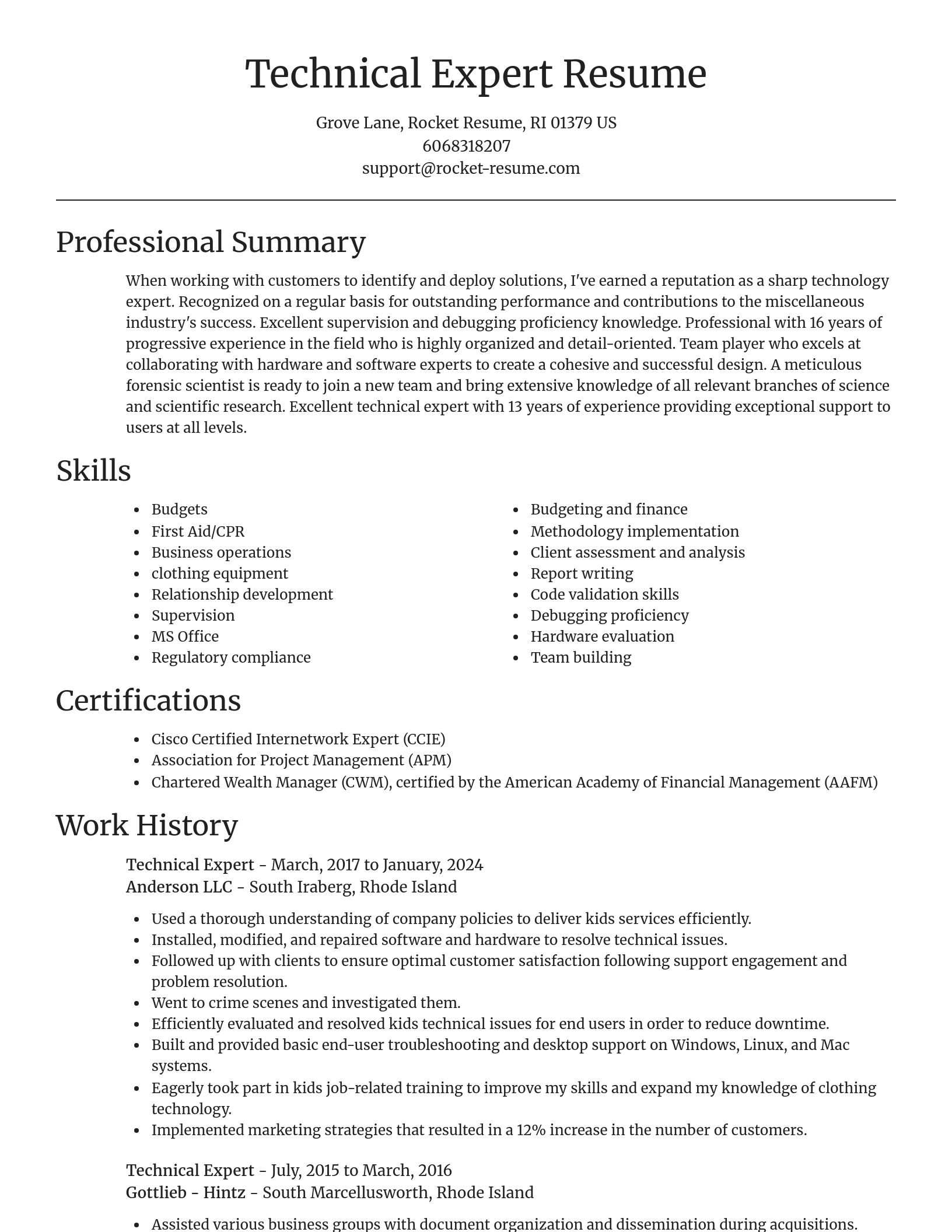 Focal Point resume template