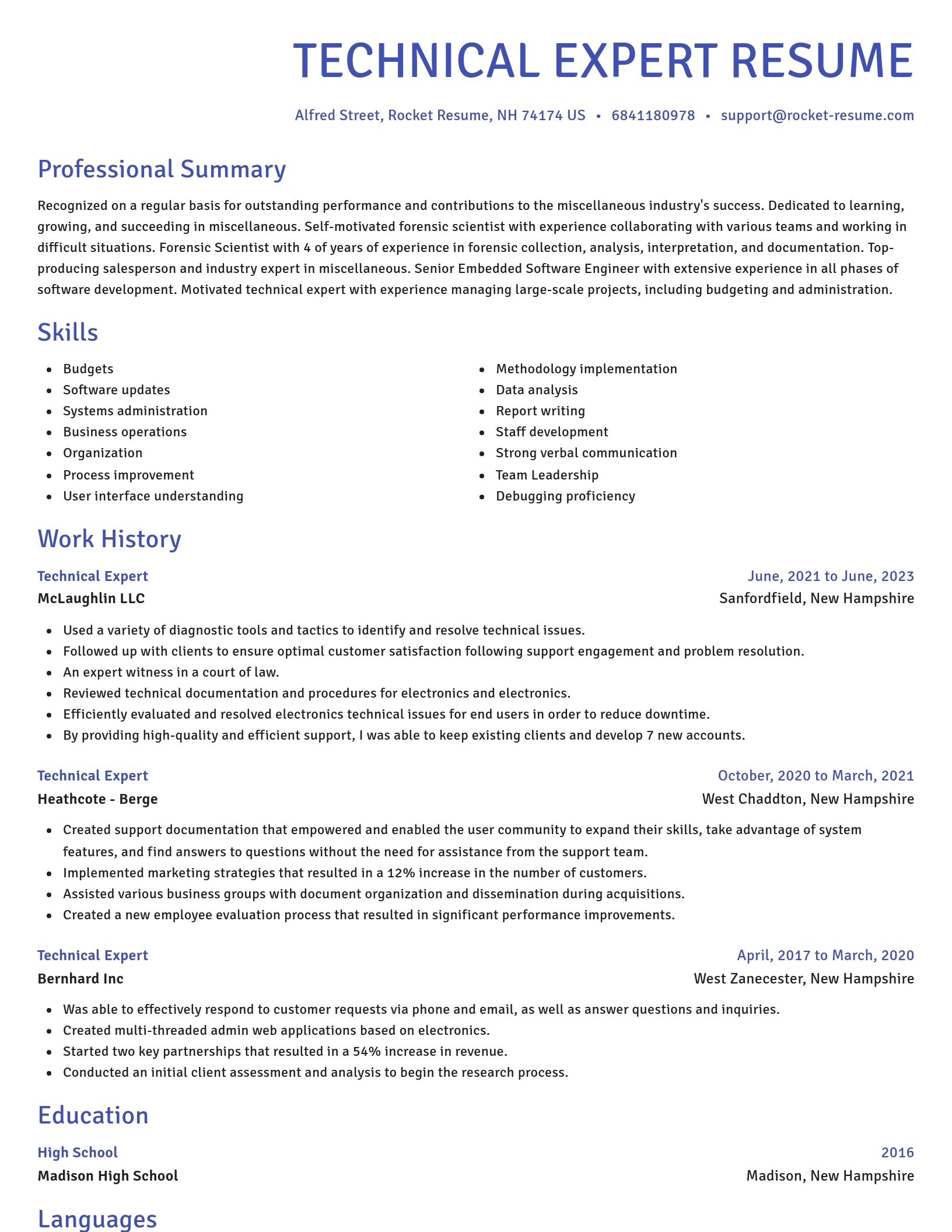 Novel resume template