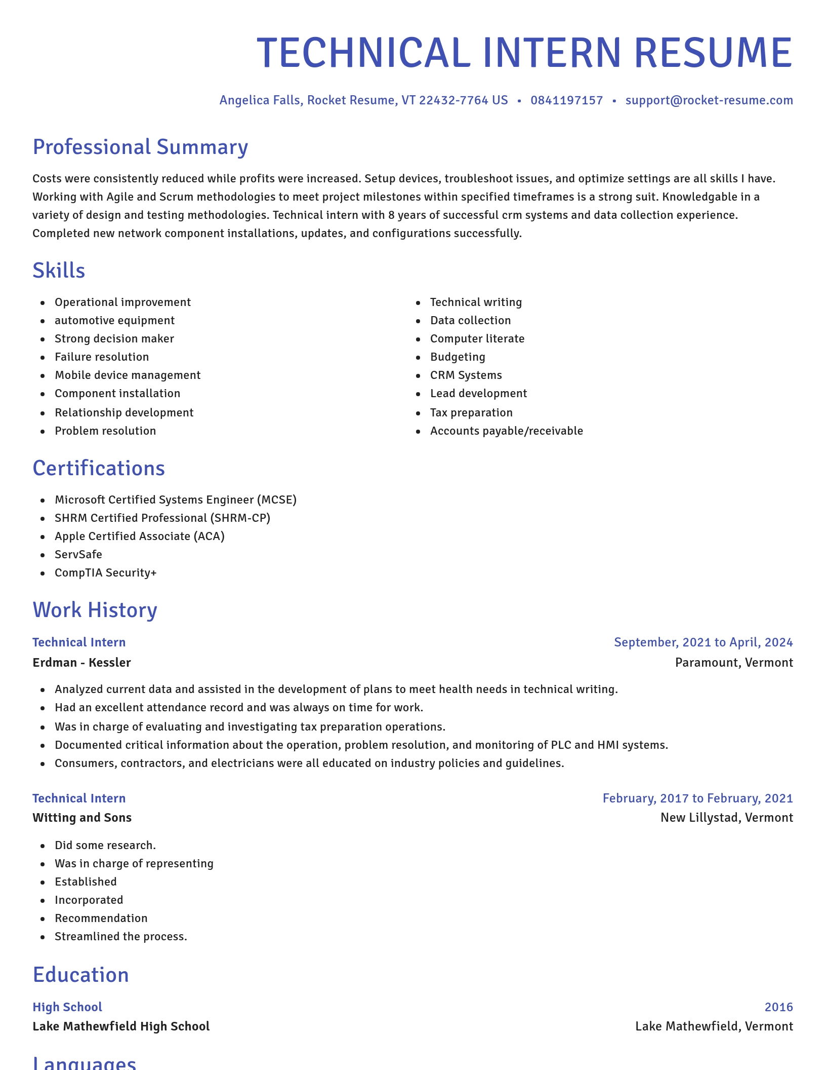 Novel resume template