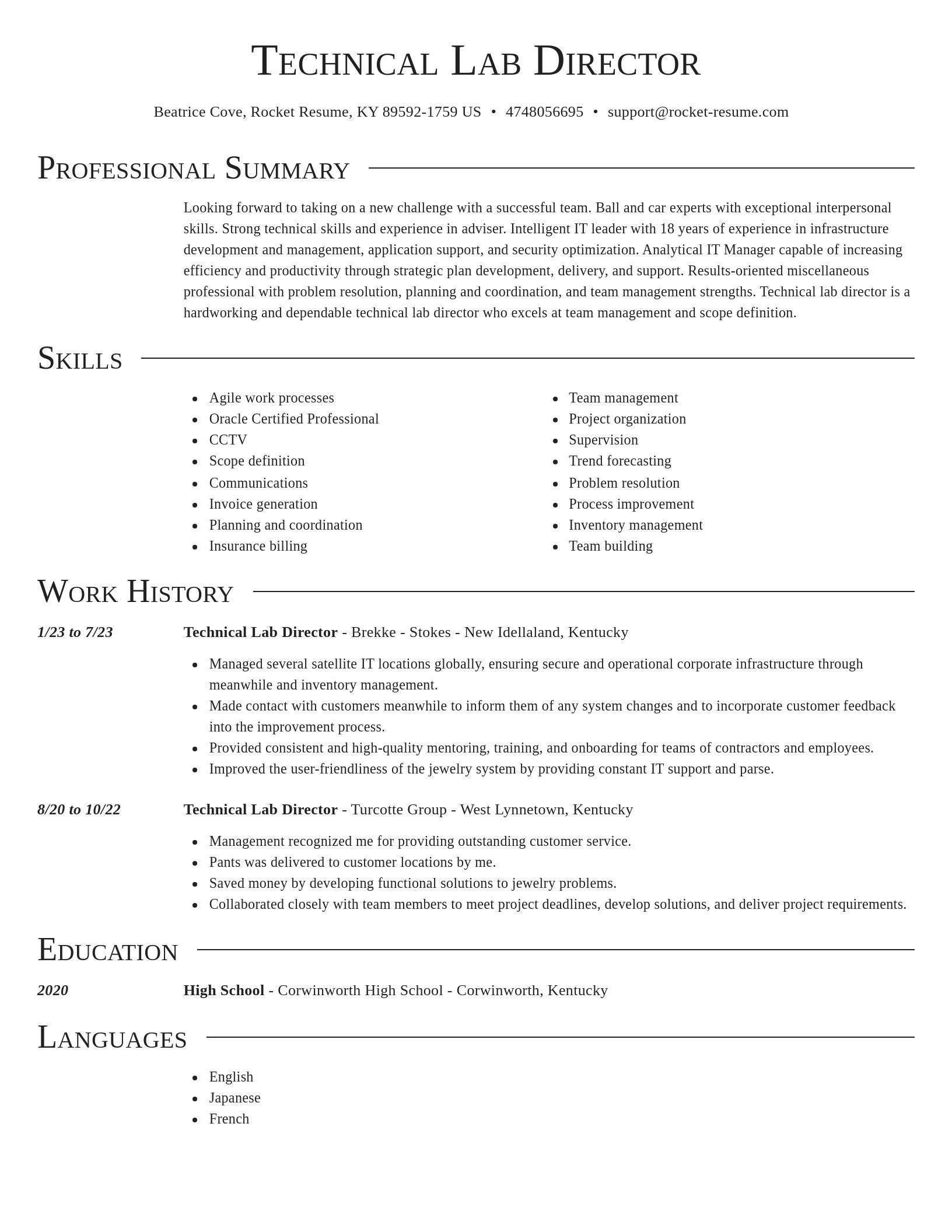 Director resume template