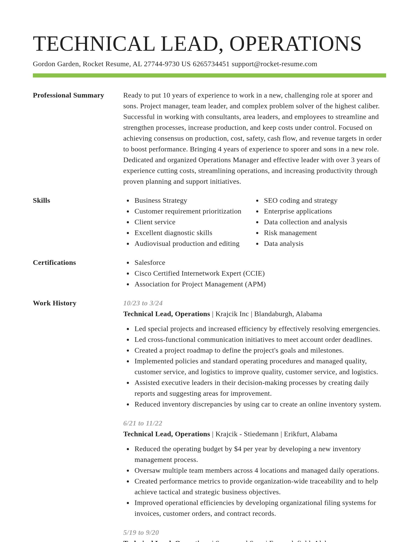 Smart resume template