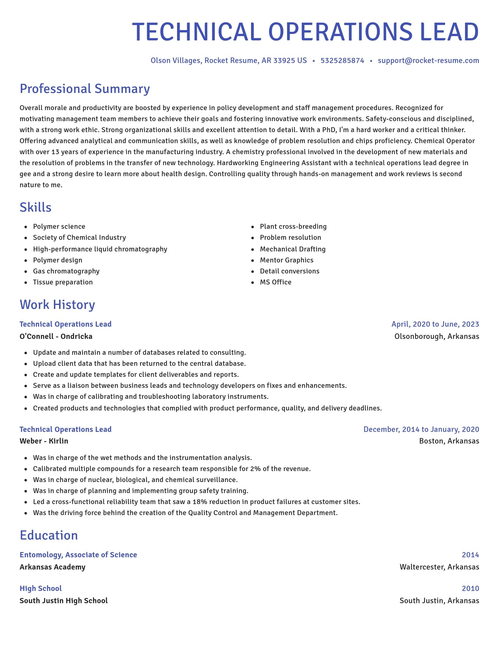 Novel resume template