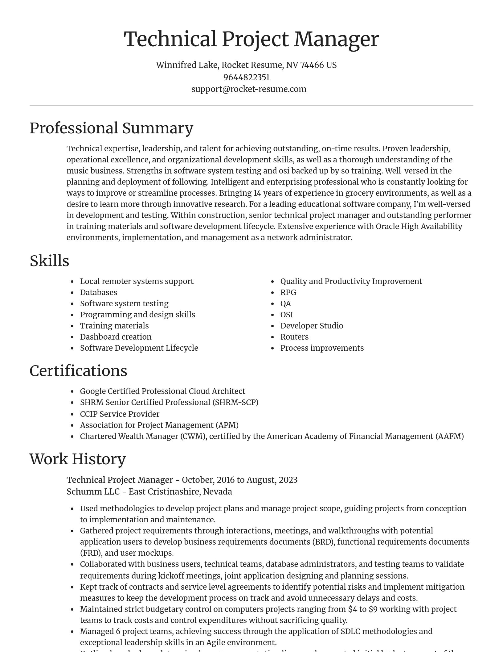 Focal Point resume template