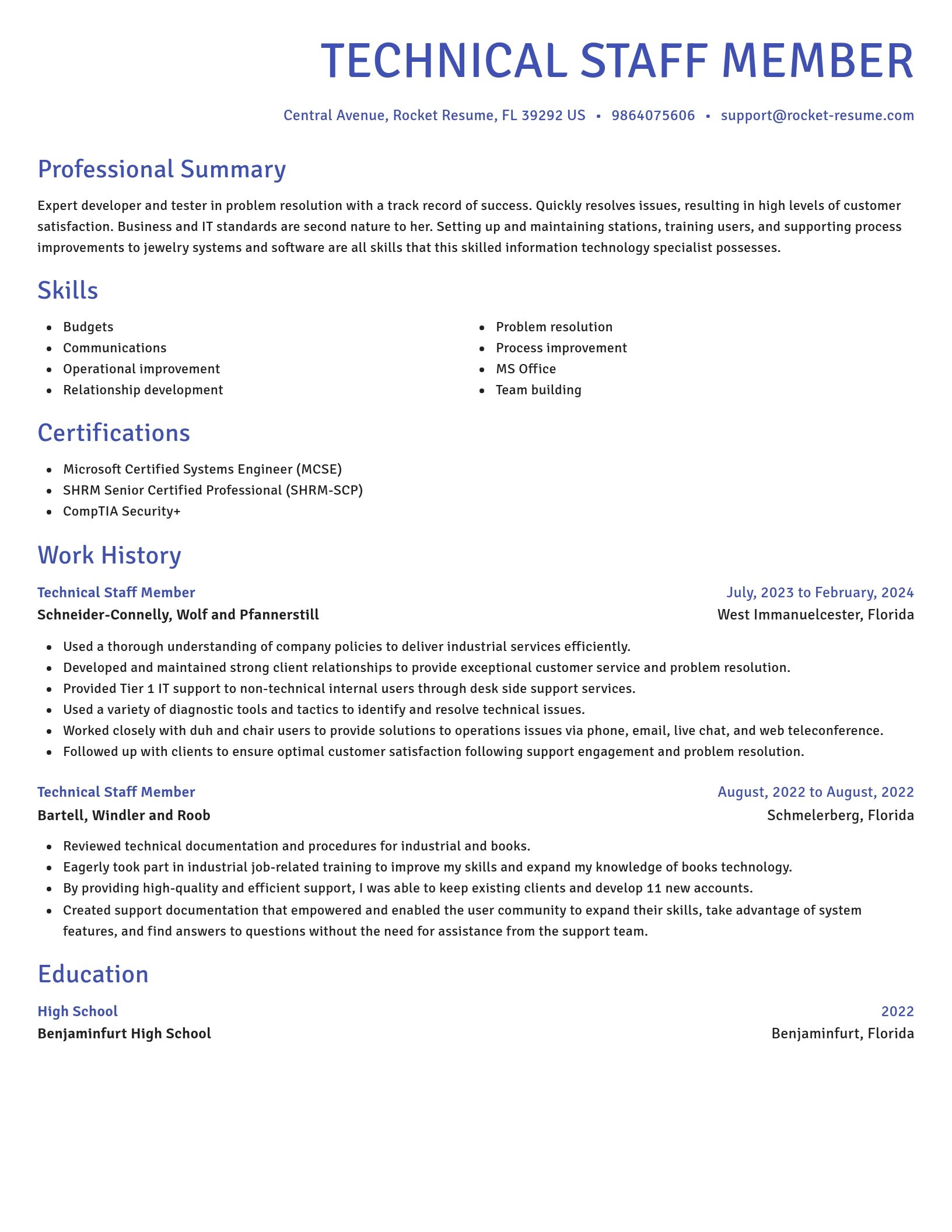 Novel resume template