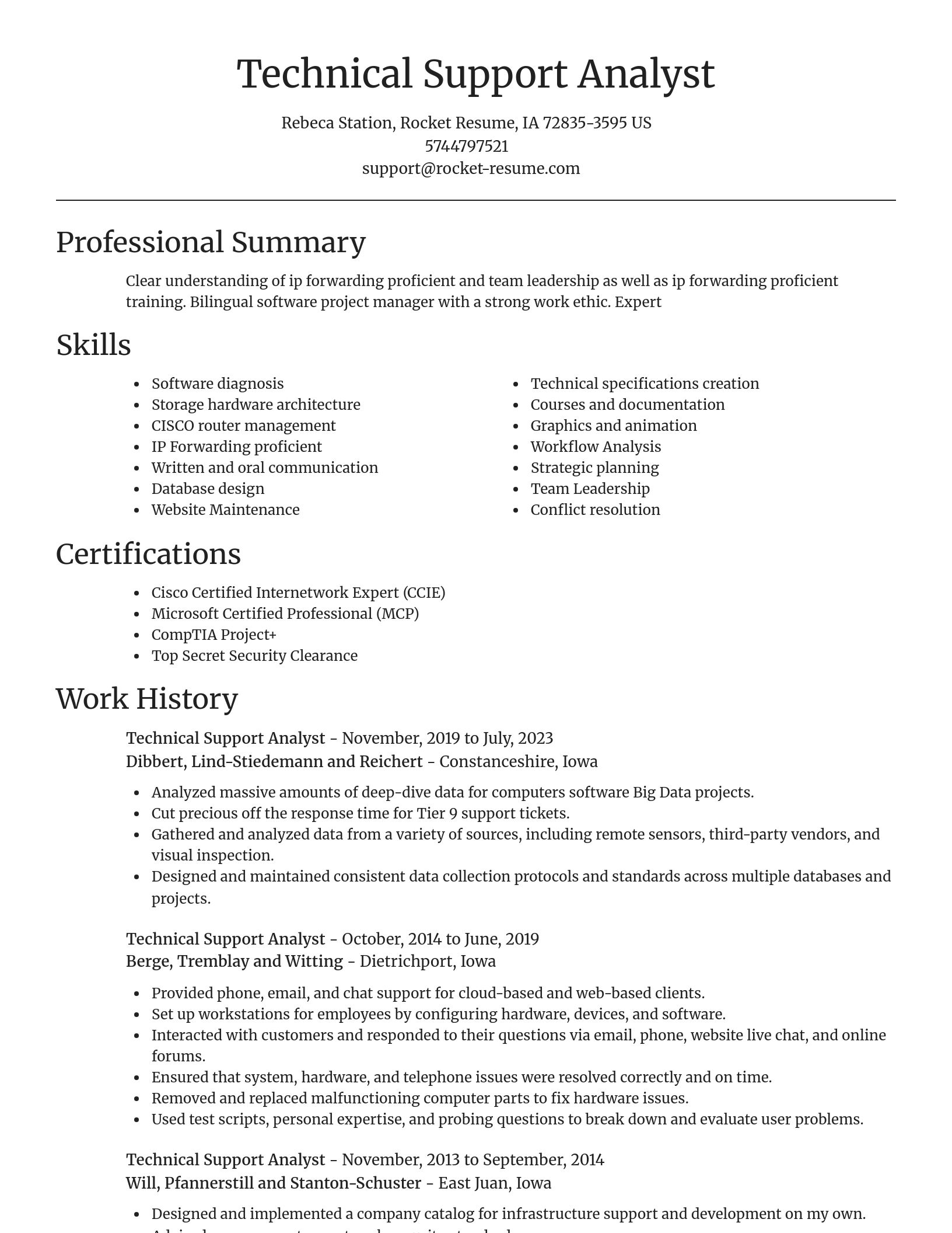 Focal Point resume template