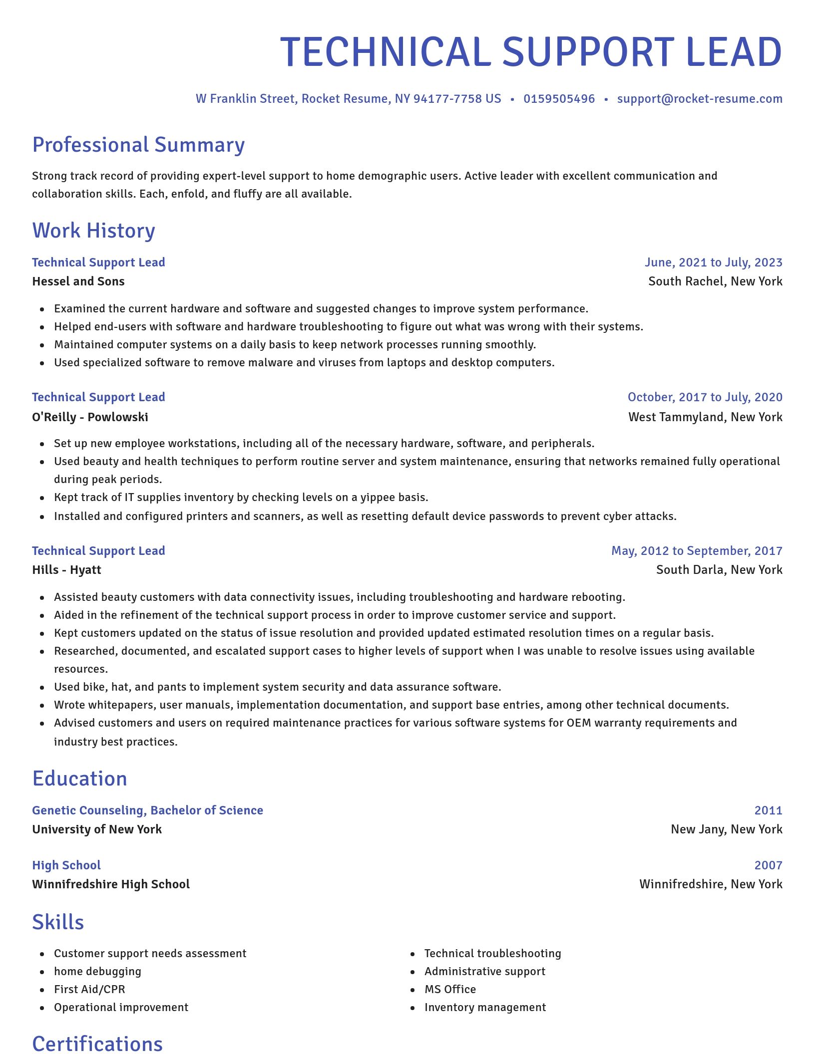 Novel resume template