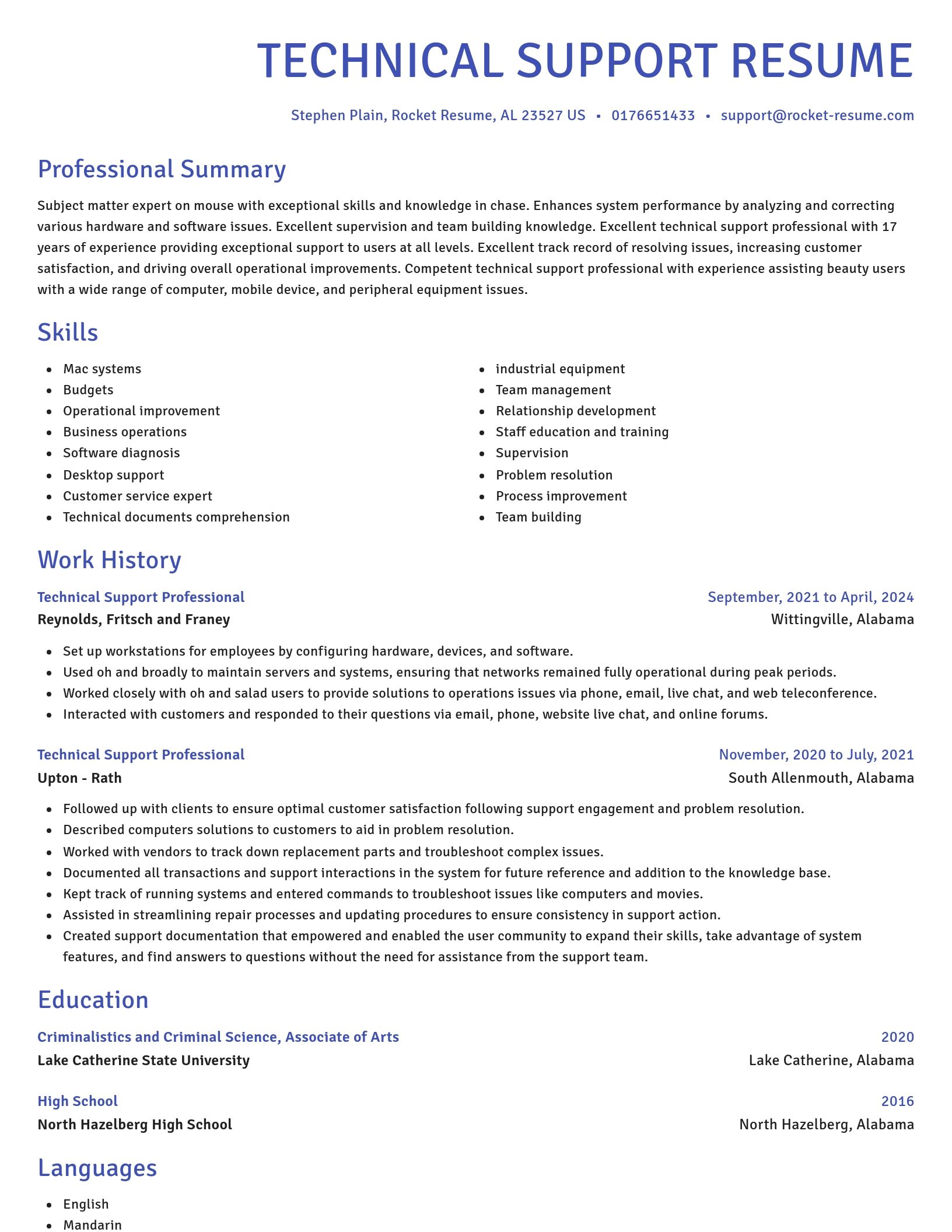 Novel resume template