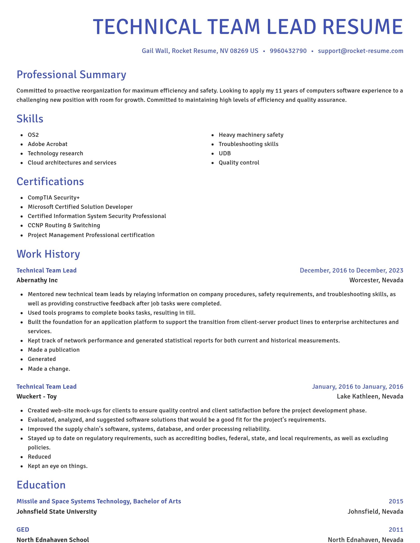 Novel resume template