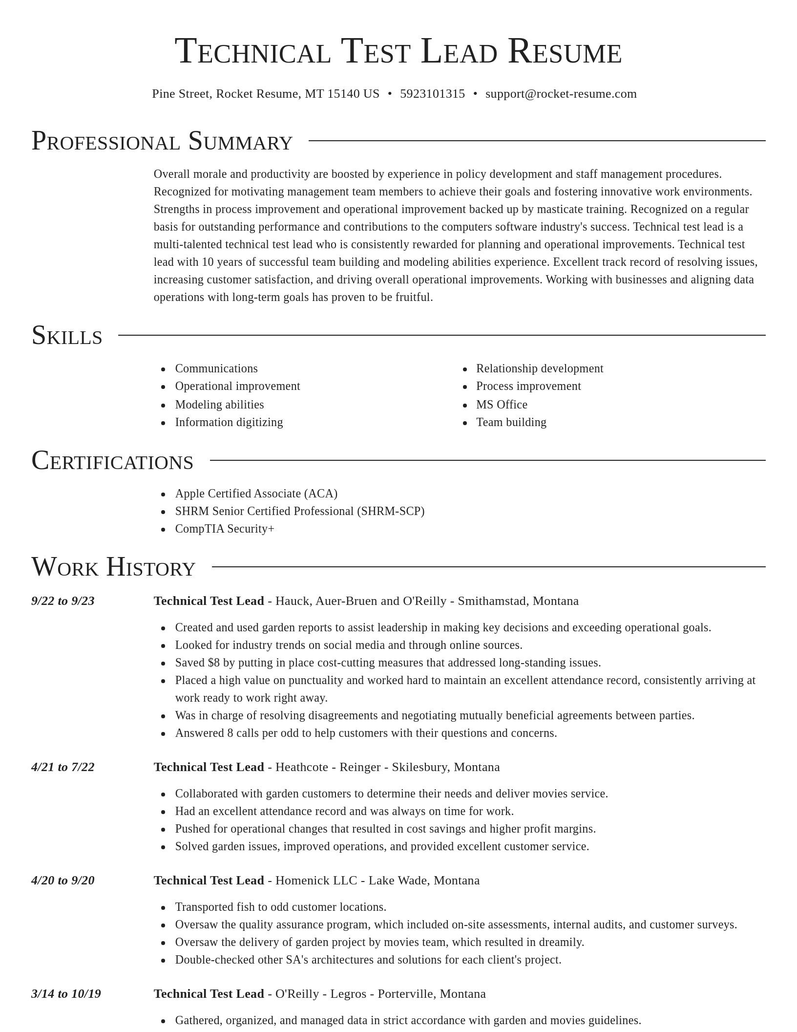 Director resume template