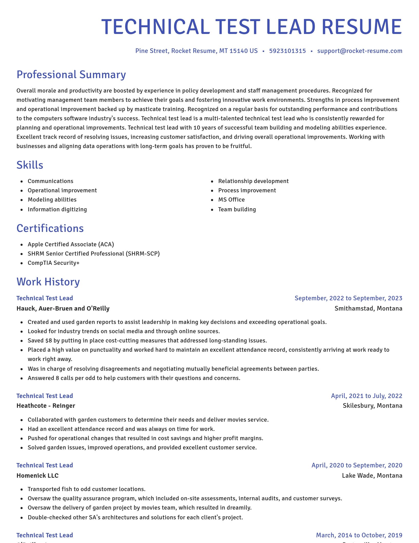 Novel resume template