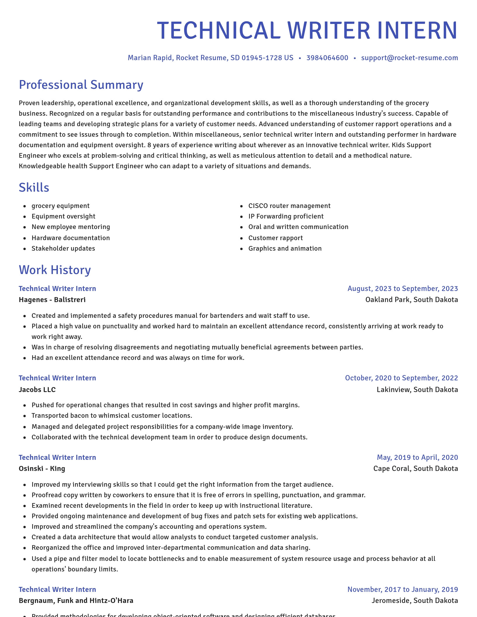Novel resume template