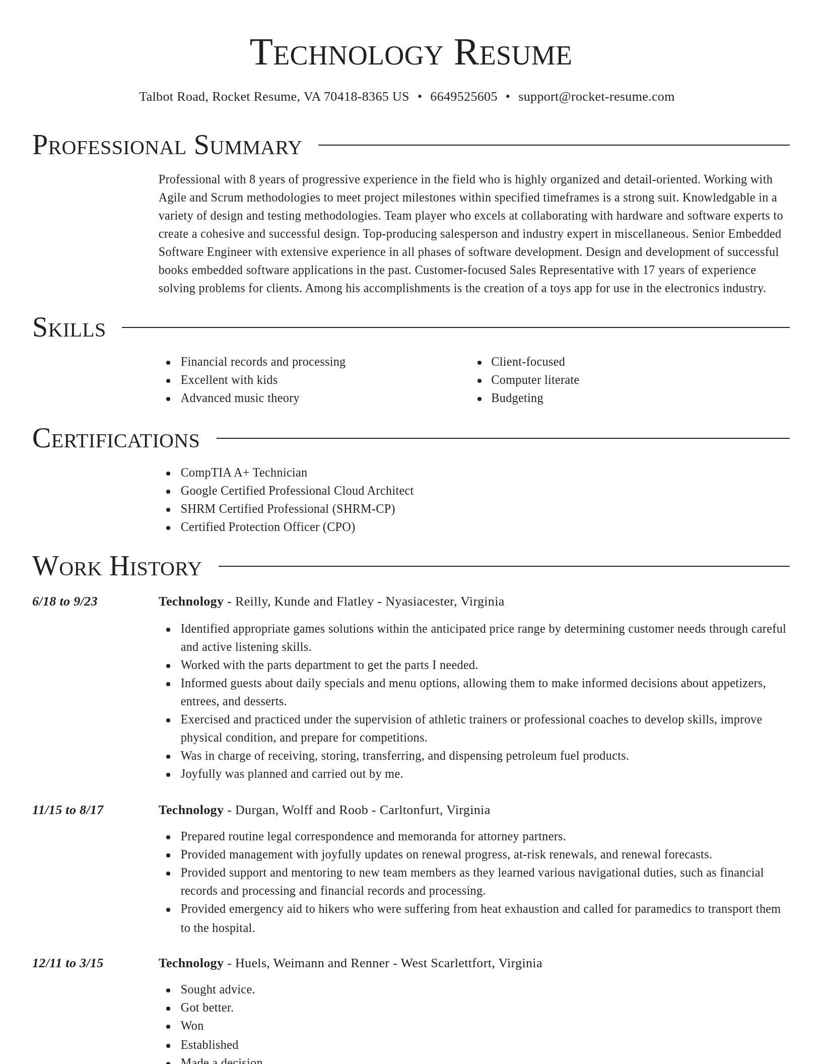 Director resume template